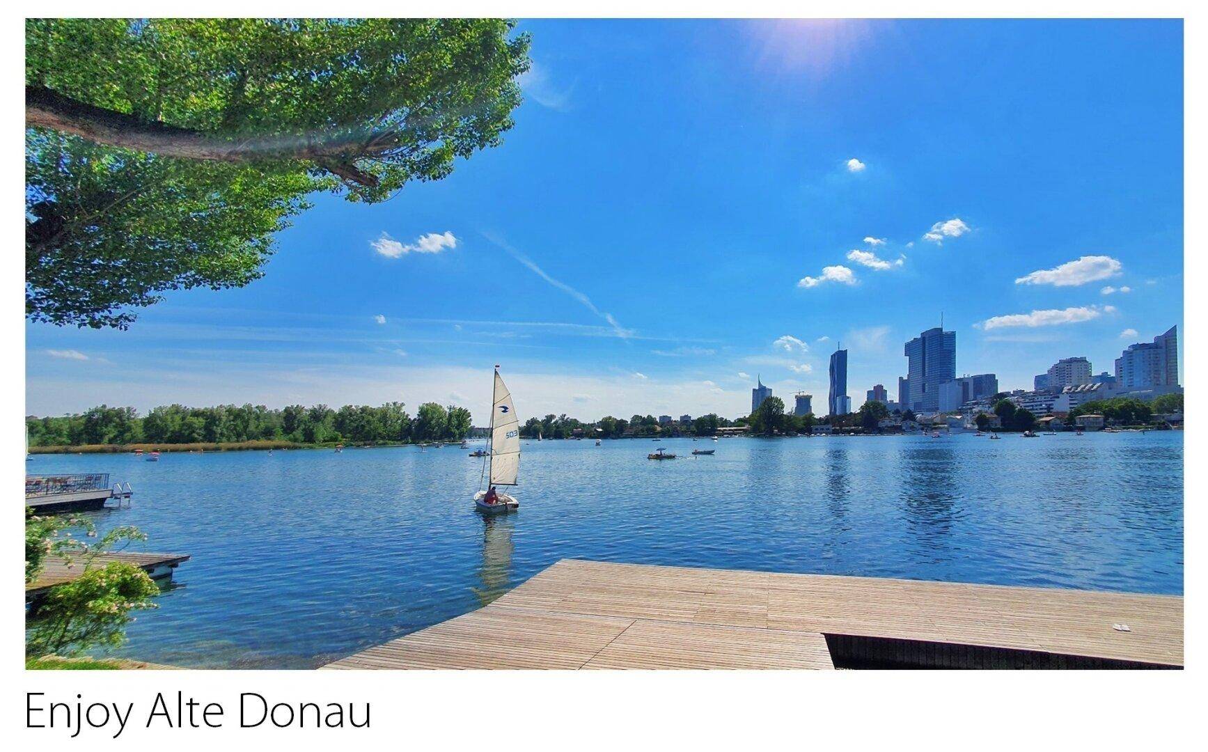 Enjoy Alte Donau