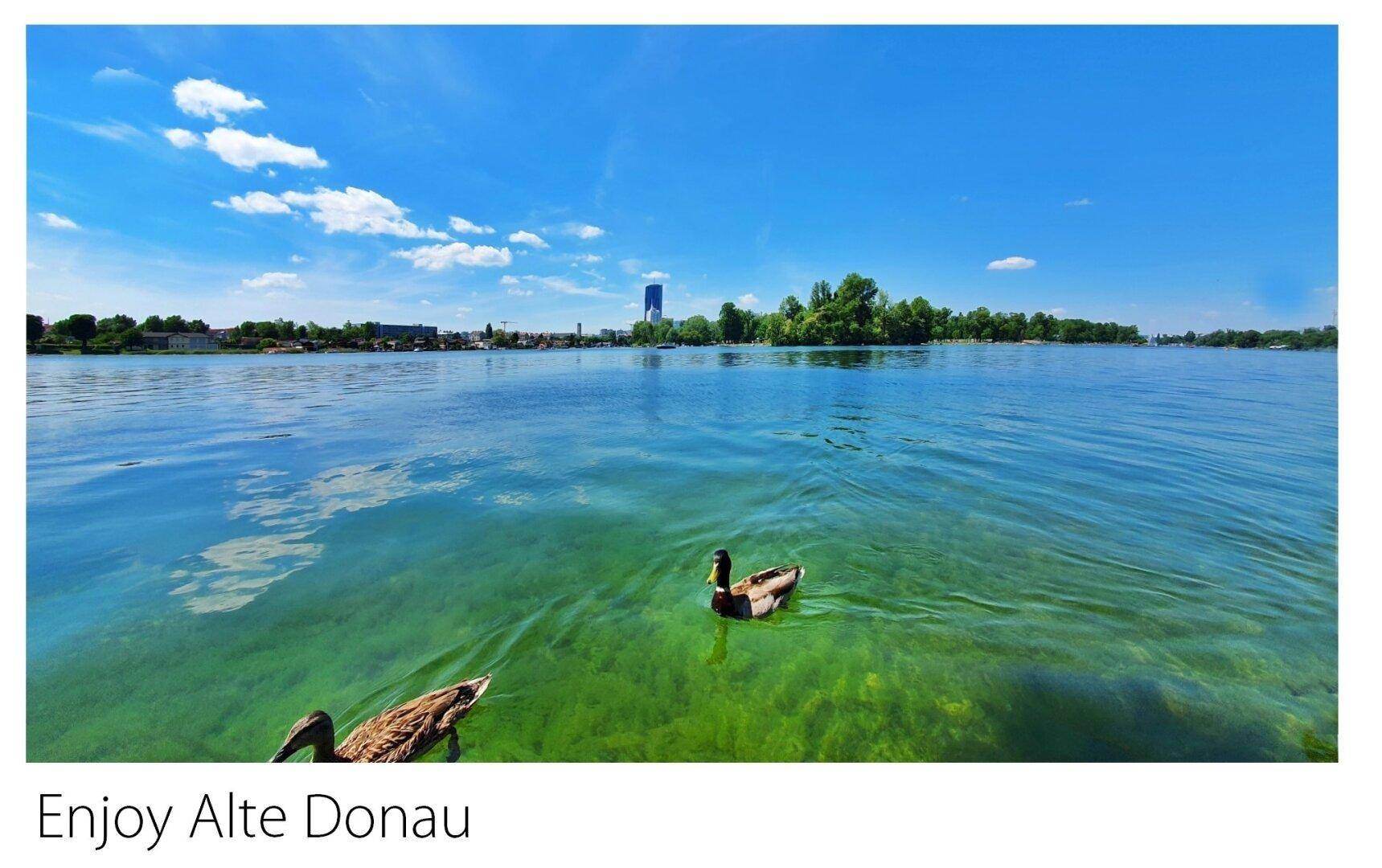 Enjoy Alte Donau