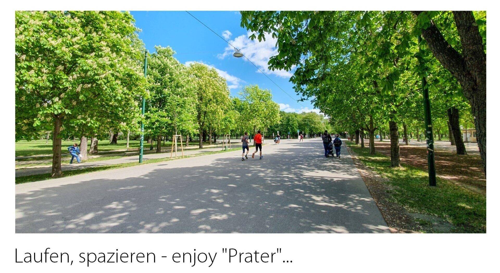 Enjoy Prater