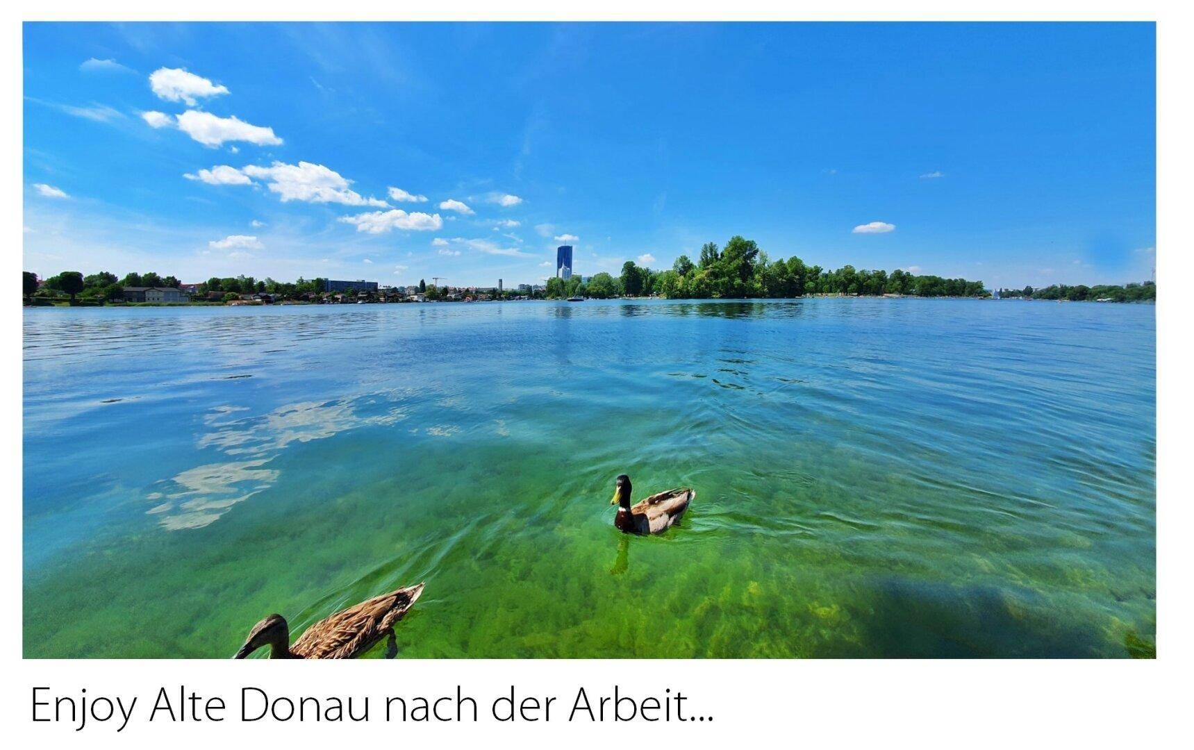 Enjoy Alte Dona nach der Arbeit