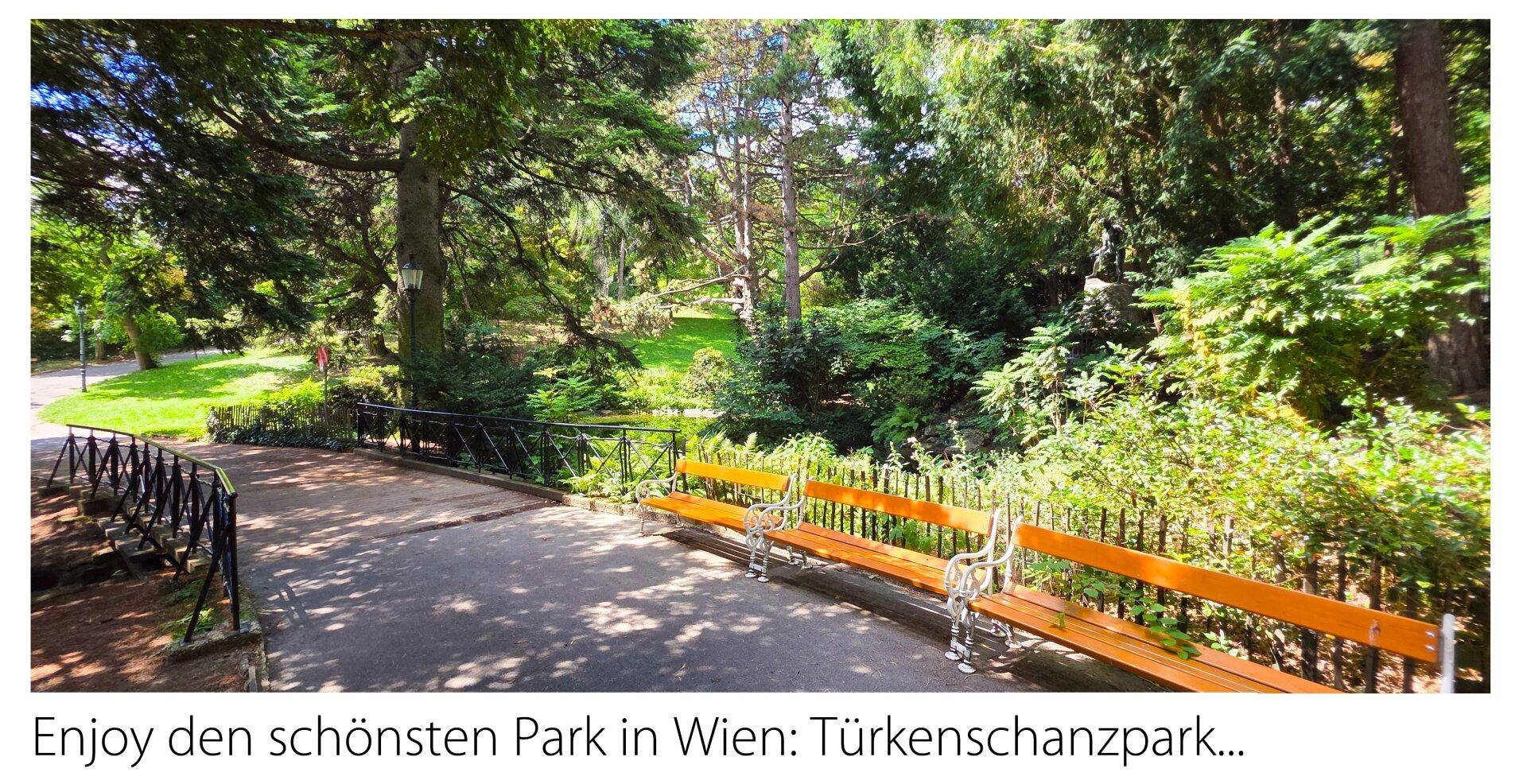 Nahe Türkenschanzpark