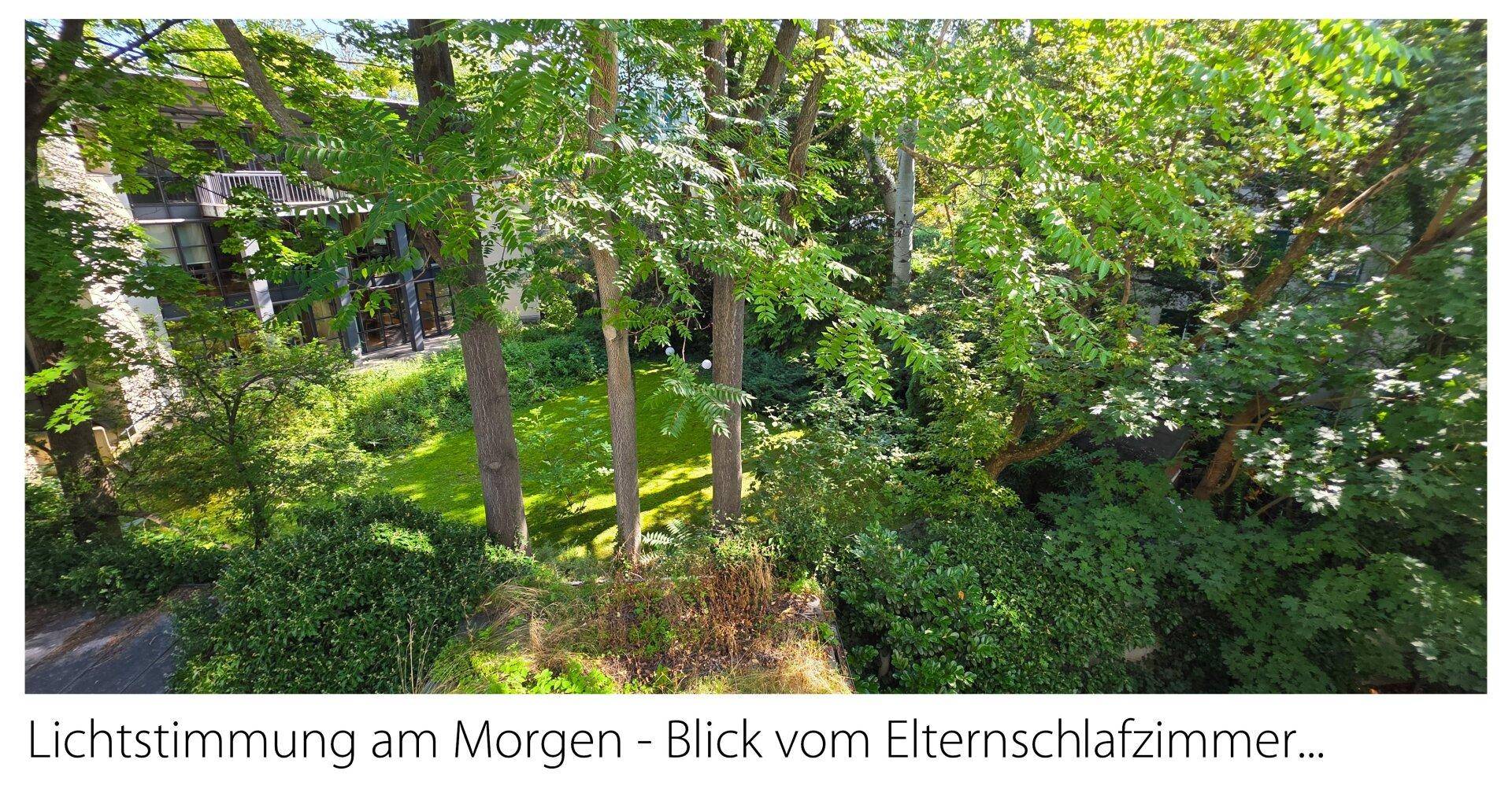 Morgendliche Lichtstimmung