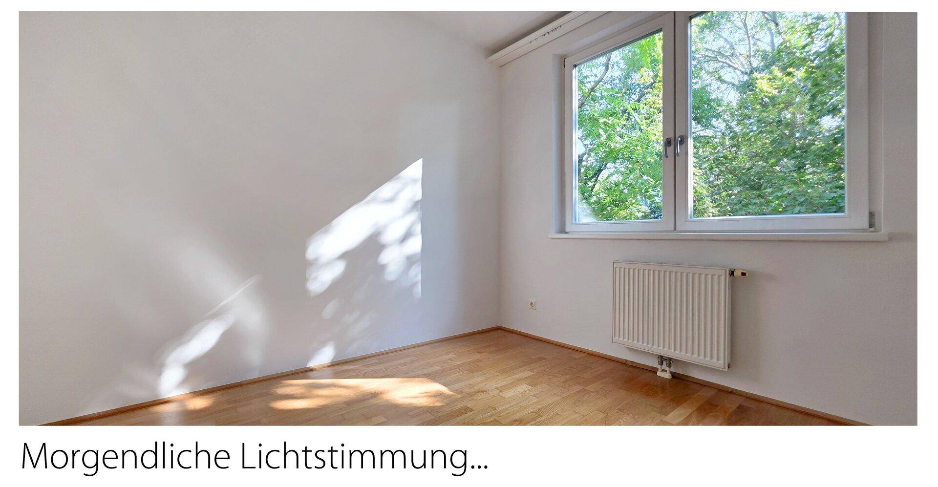 Morgendliche Lichtstimmung