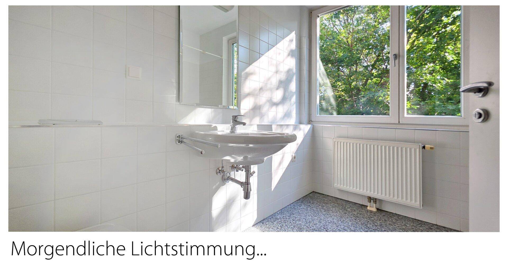 Morgendliche Lichtstimmung