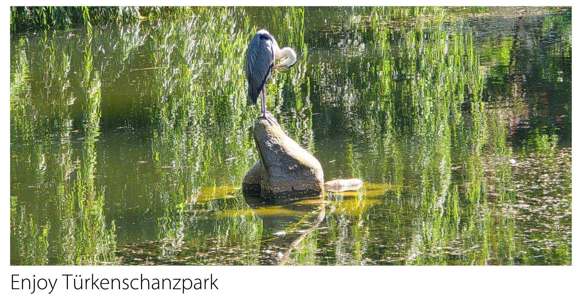 Enjoy Türkenschanzpark