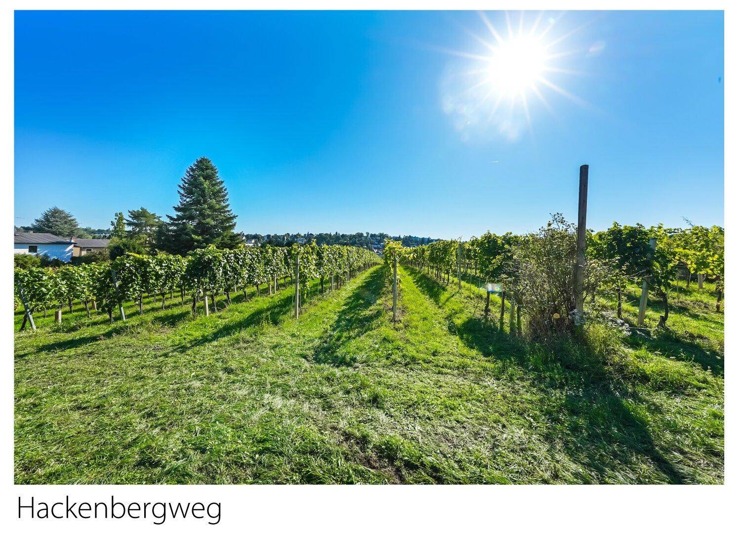 Nahe Hackenbergweg