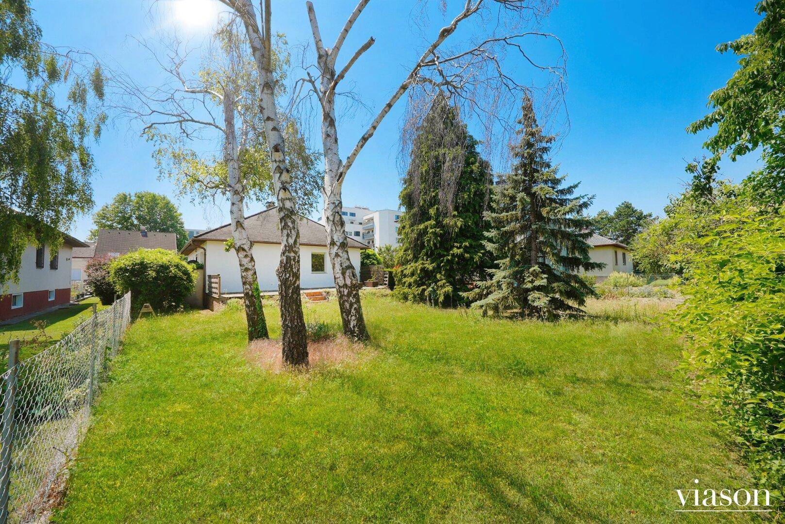 Großer sonniger Garten mit Rasenfläche, hohen Bäumen und Blick auf das Einfamilienhaus.