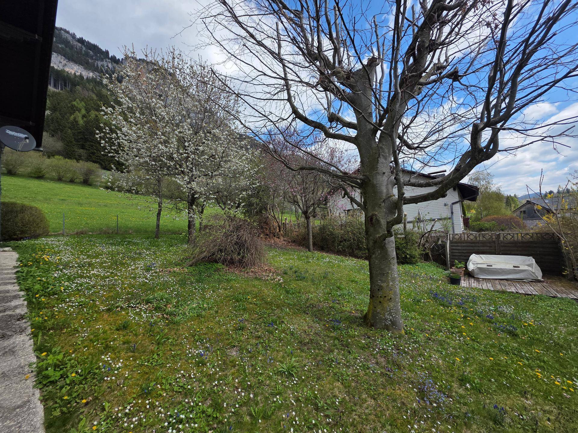 Großer Garten mit Rasenfläche, Bäumen und beeindruckendem Bergblick.