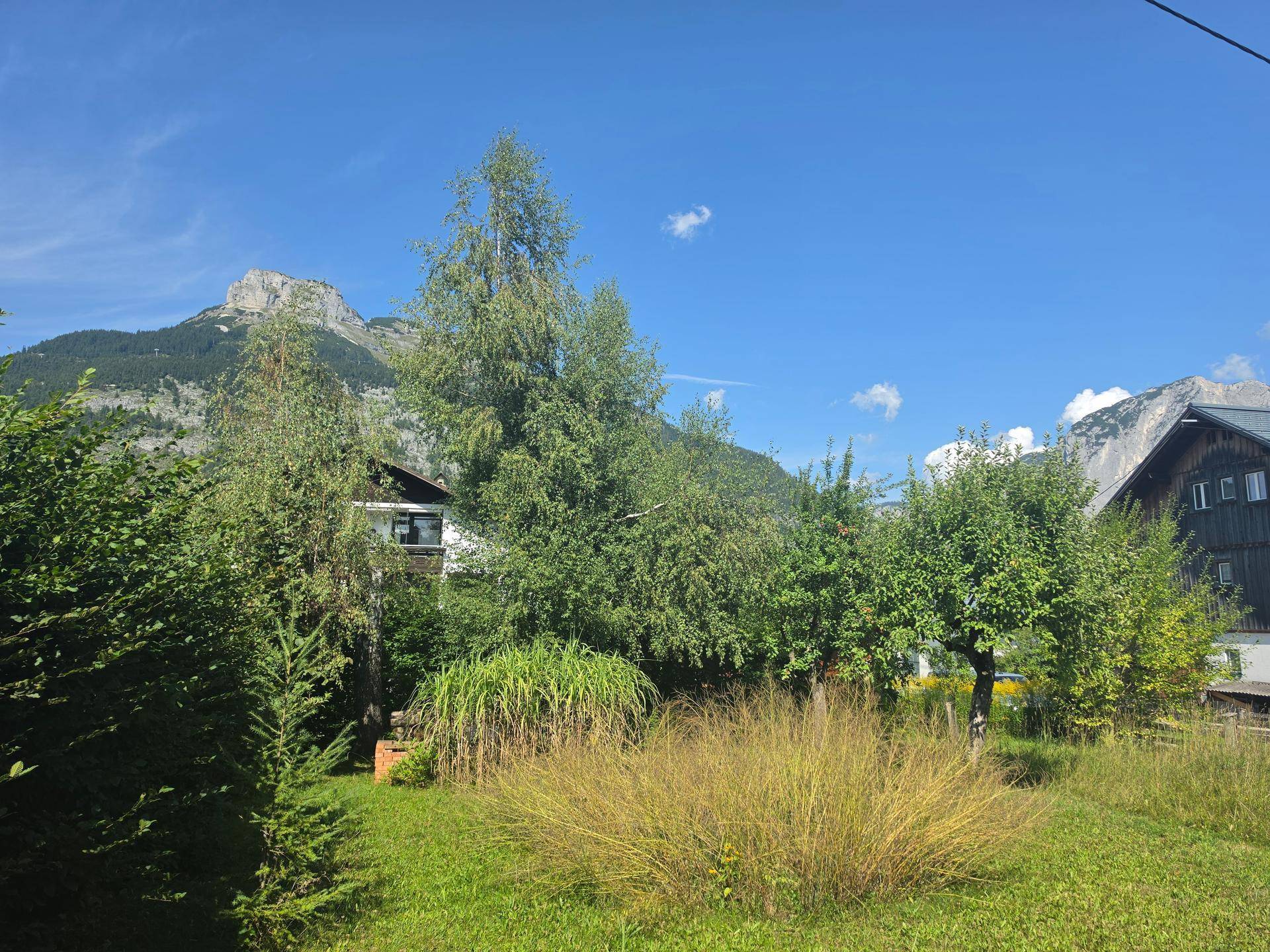 Idyllischer Blick auf die grüne Landschaft mit Bäumen und die beeindruckende Bergkulisse im Hintergrund.