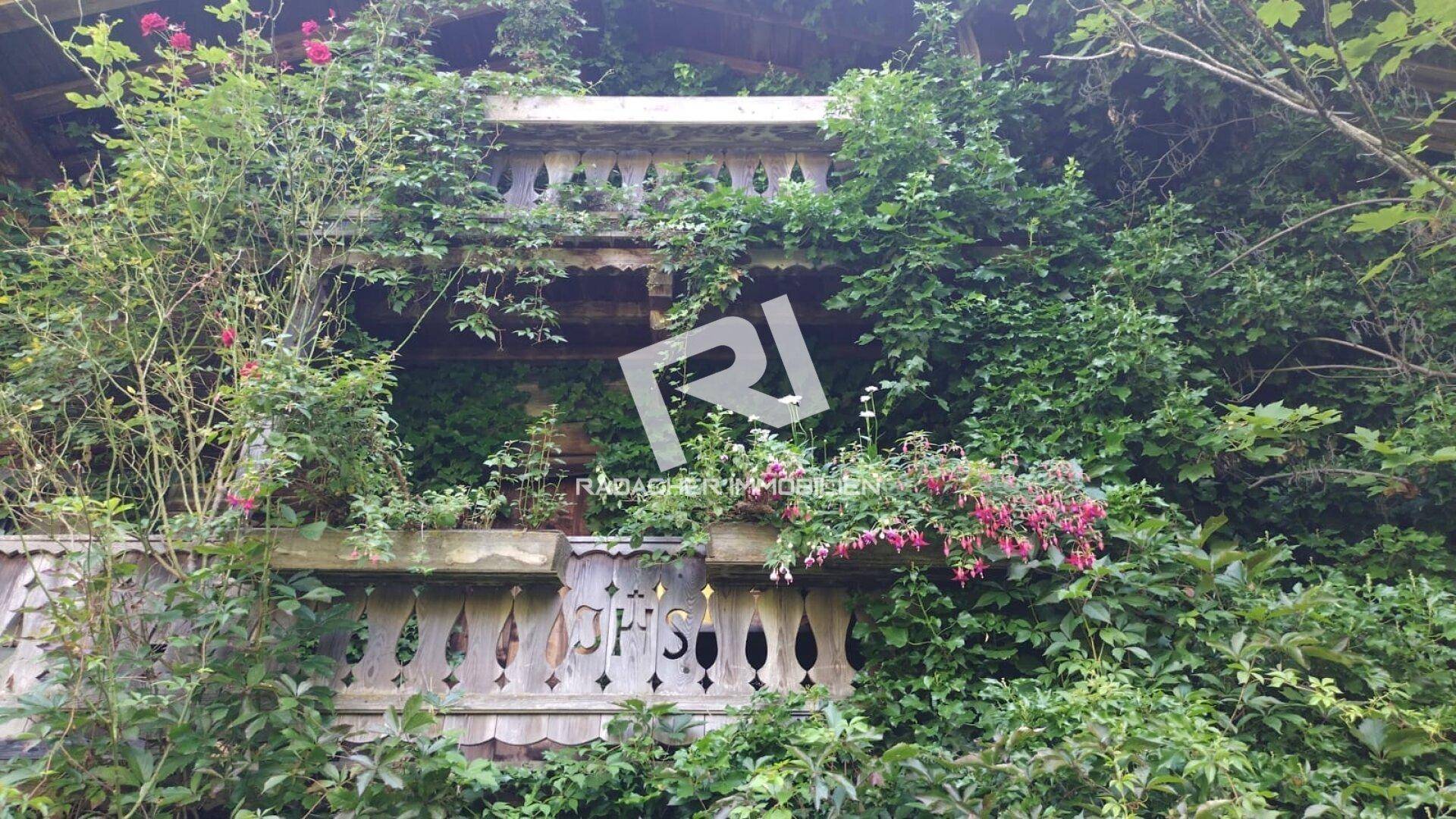 Traditioneller Holzbalkon mit kunstvollen Schnitzereien, üppig bewachsen mit Kletterpflanzen und Blumen.