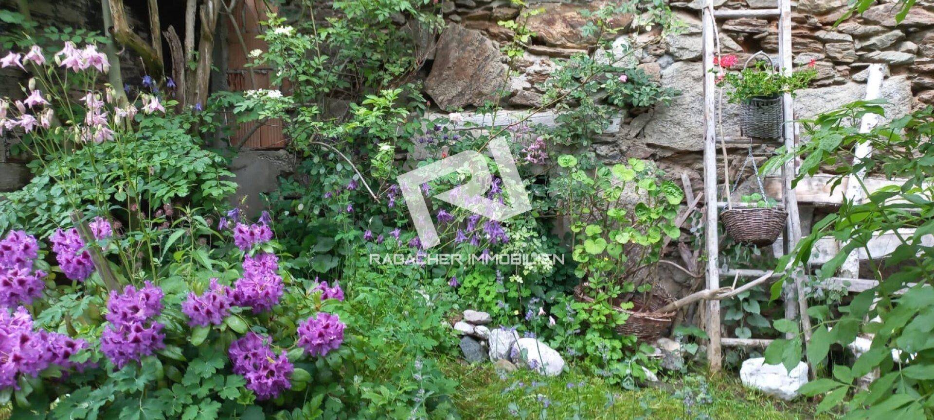 Farbenfrohes Blumenbeet vor einer rustikalen Steinmauer, mit lila Blüten und grünen Pflanzen.