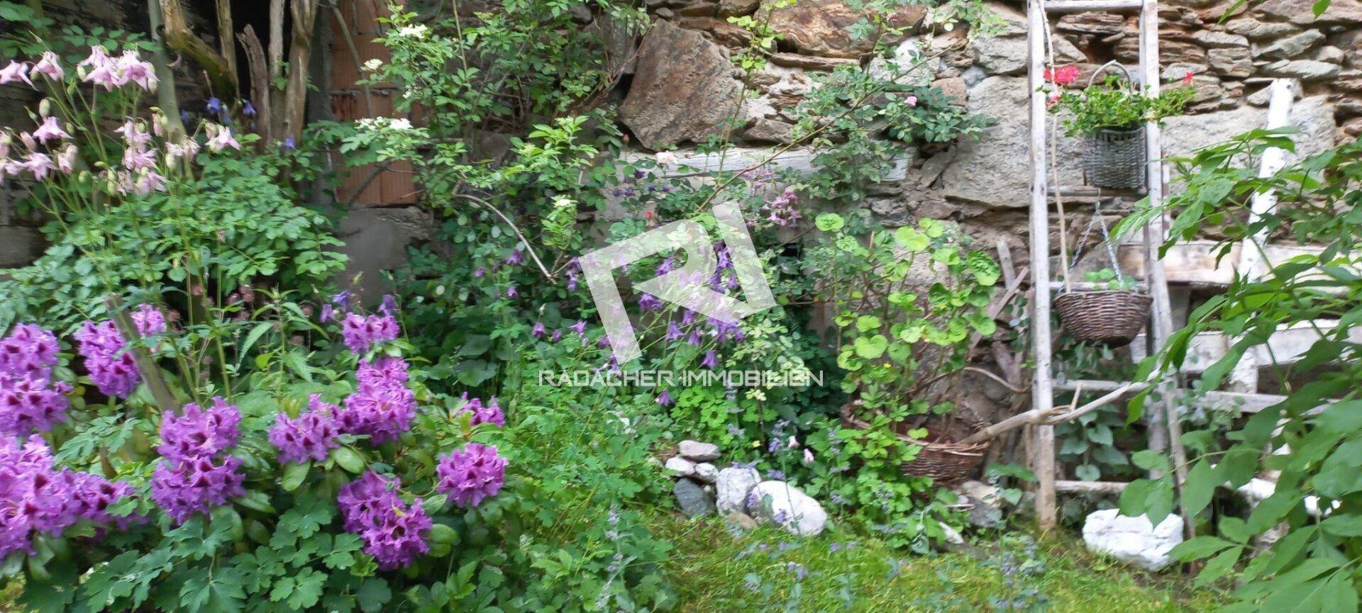 Farbenfrohes Blumenbeet vor einer rustikalen Steinmauer, mit lila Blüten und grünen Pflanzen.