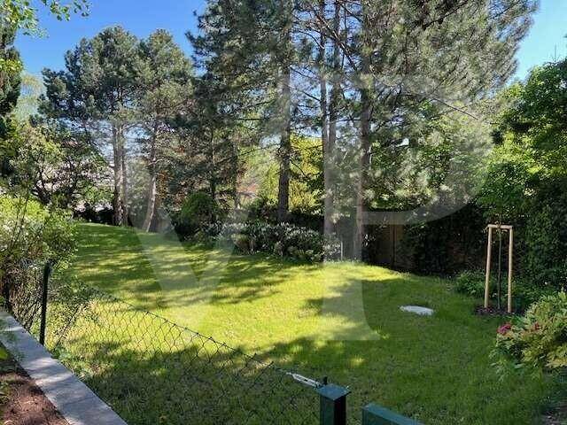 Große, sonnige Rasenfläche im Garten, umgeben von hohen Bäumen und einem Zaun.