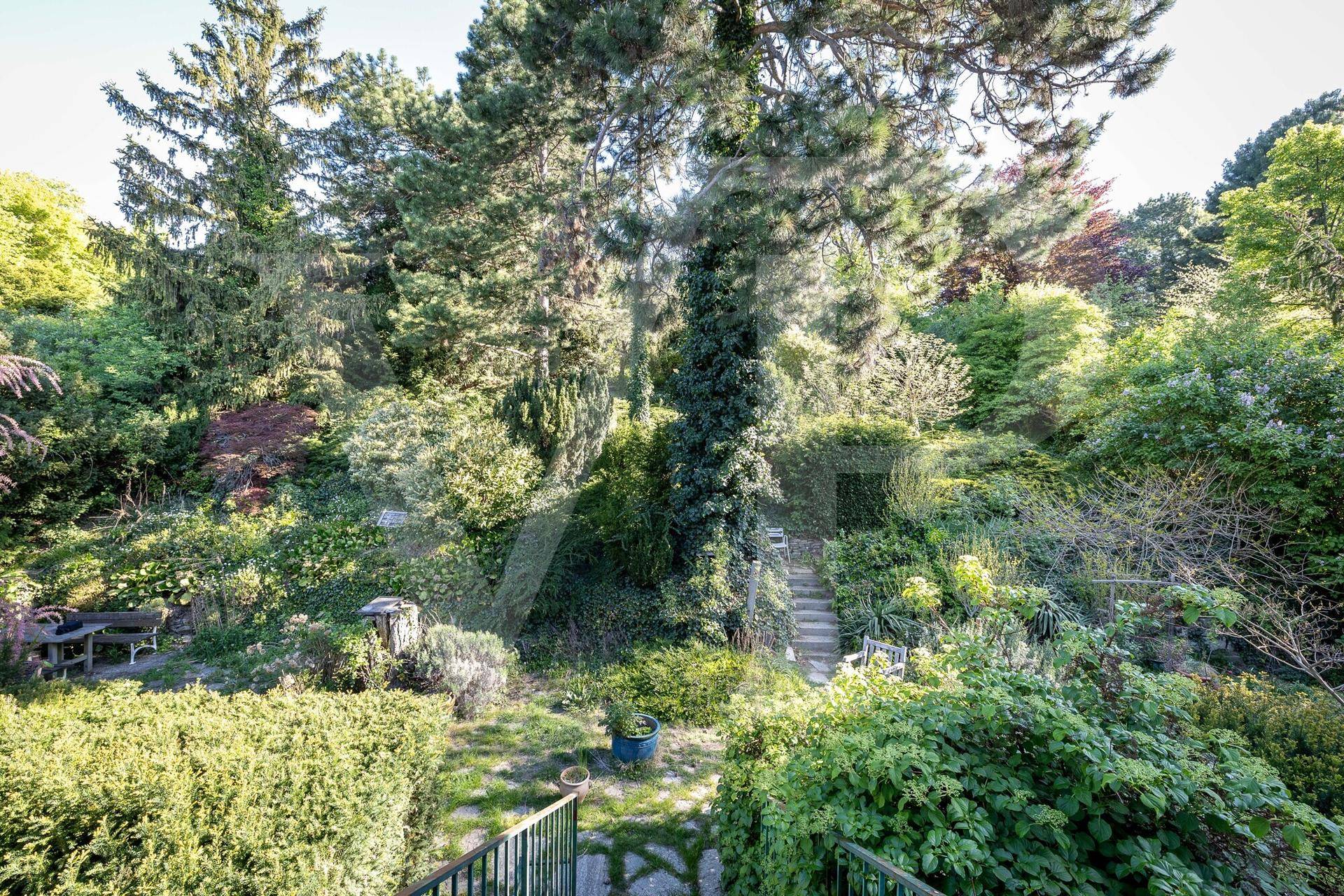 Üppiger, naturbelassener Garten mit Steinstufen und vielfältiger Bepflanzung, ideal zum Entspannen.