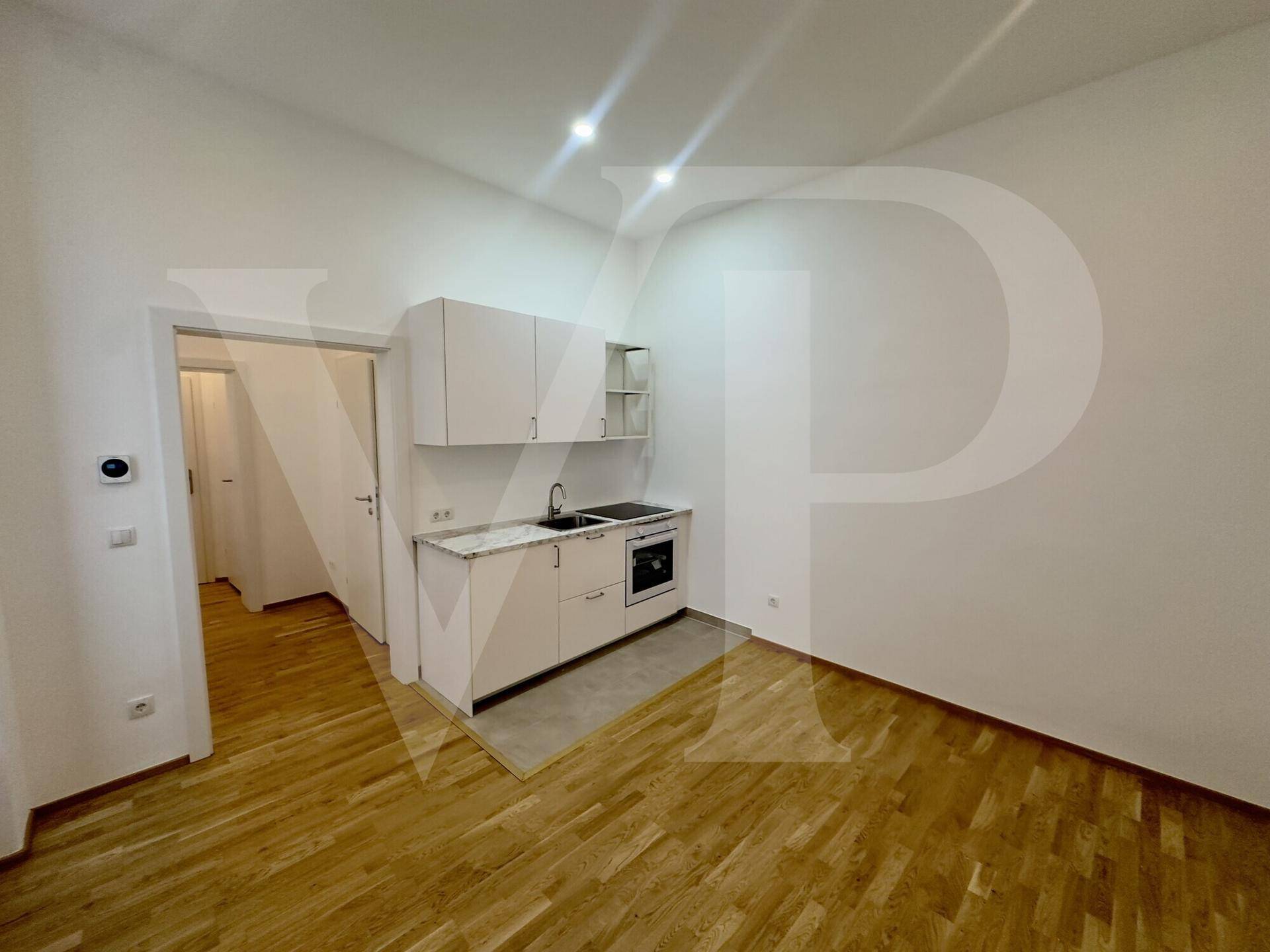 Kompakte, moderne Küchenzeile in einem hellen Raum mit Holzboden und Zugang zu einem weiteren Zimmer.