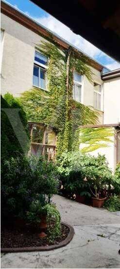Grüner Innenhof mit üppigem Efeu an der Fassade und verschiedenen Pflanzen in Töpfen.