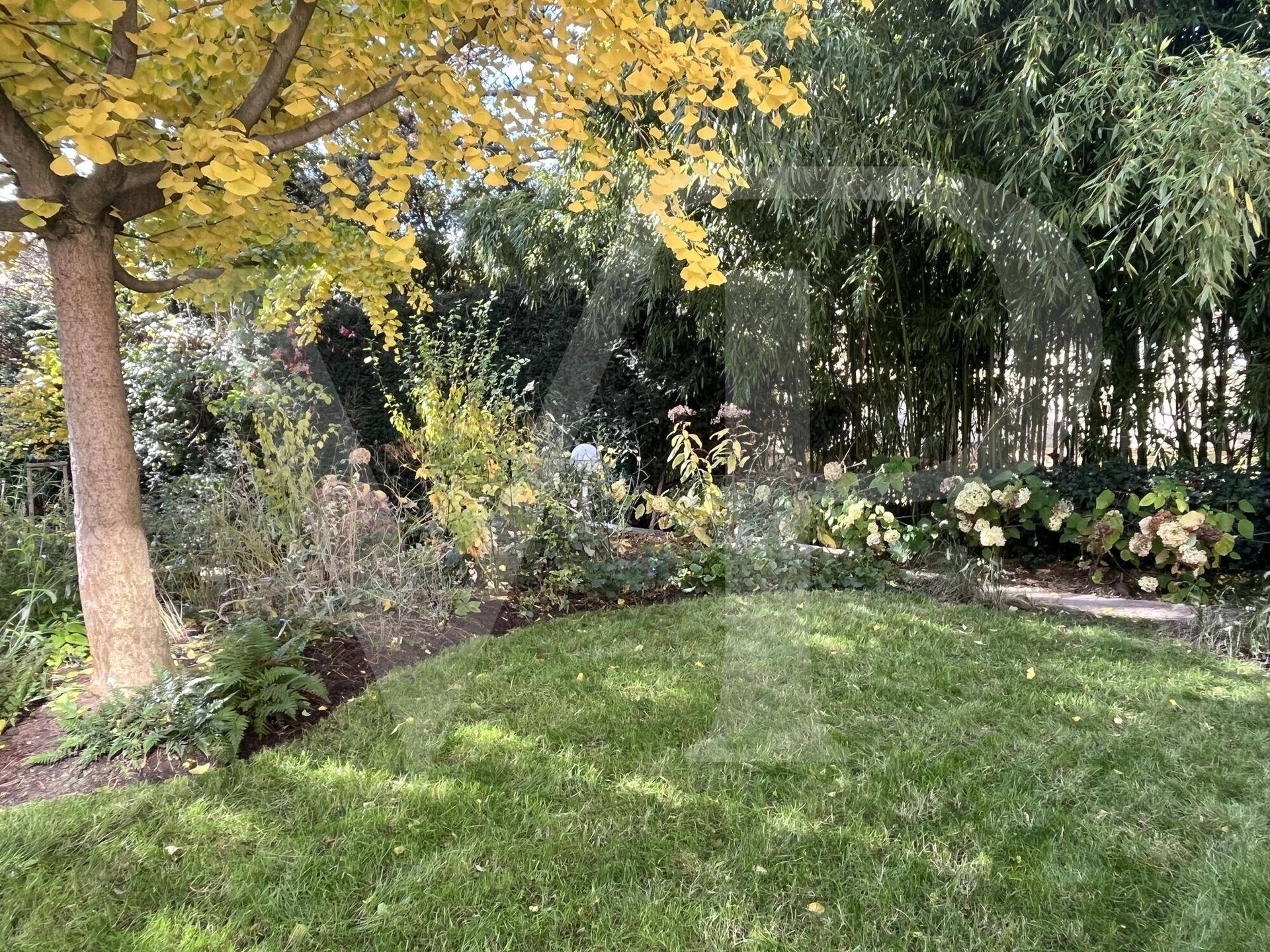 Sonnige Gartenansicht mit Rasenfläche, herbstlichen Bäumen und dichter Bepflanzung im Hintergrund.