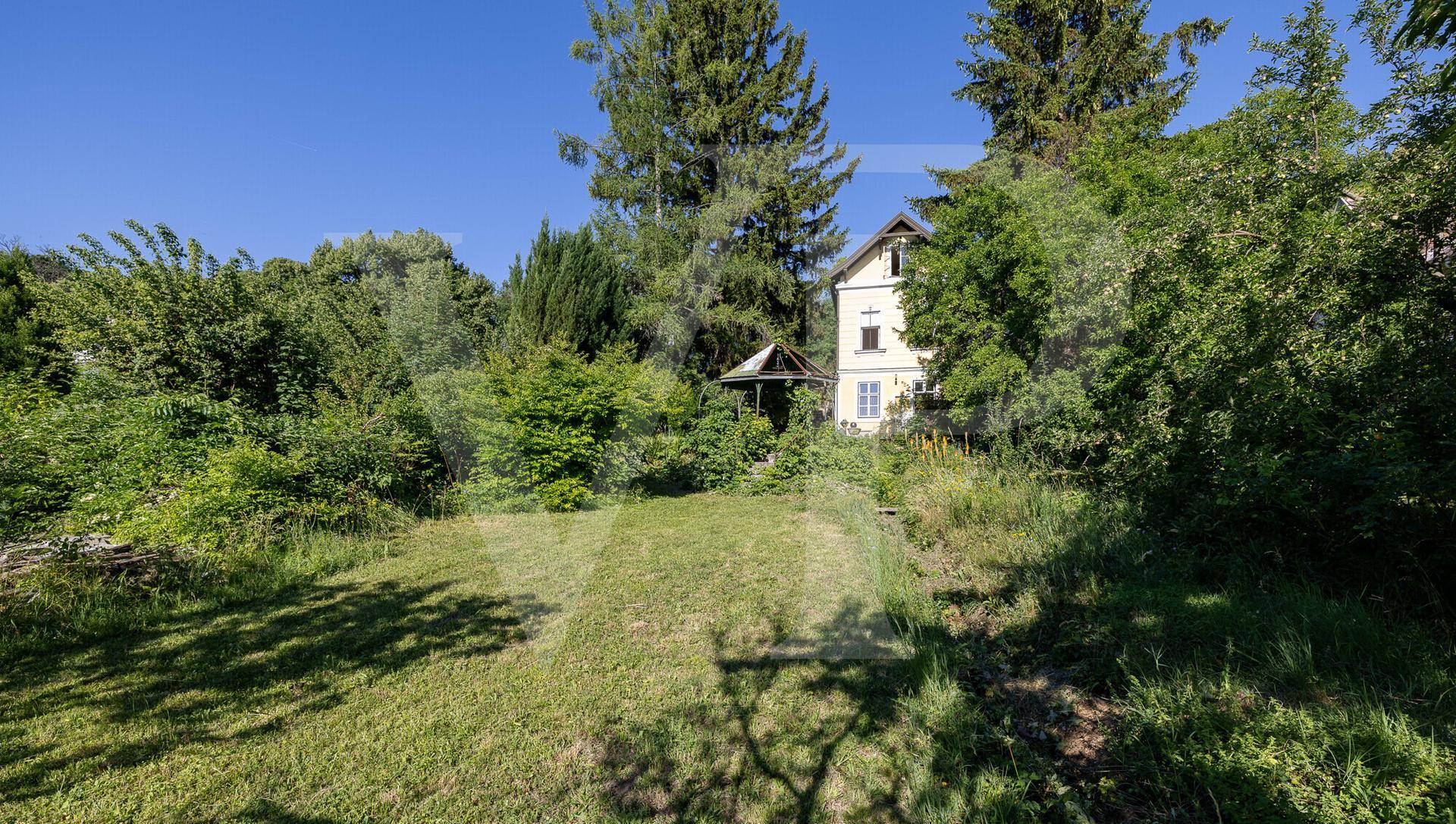 Großer, grüner Garten mit Rasenfläche und altem Baumbestand, das Haus im Hintergrund.