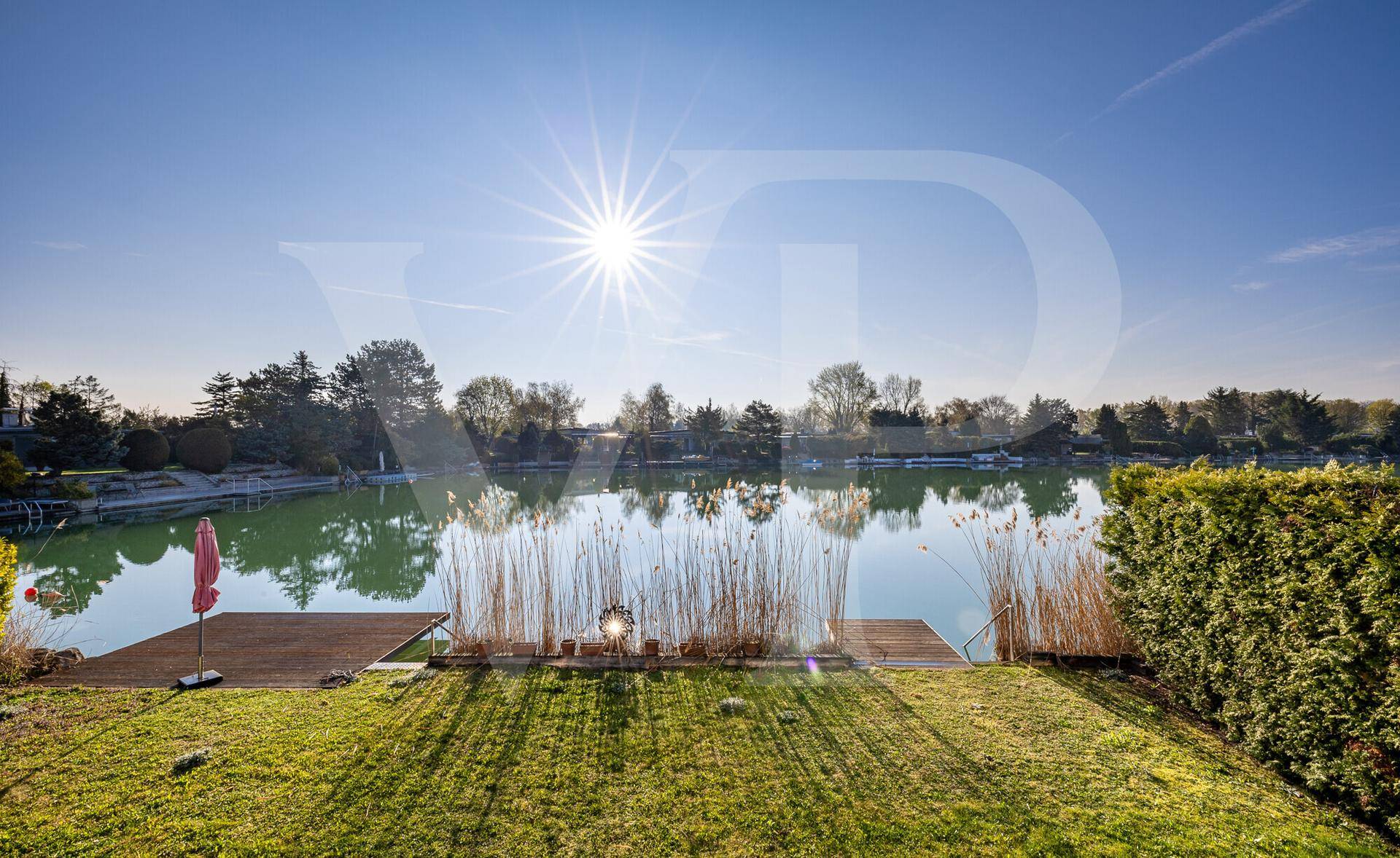 Sonniger Garten mit direktem Seezugang und Steg, umgeben von Schilf.
