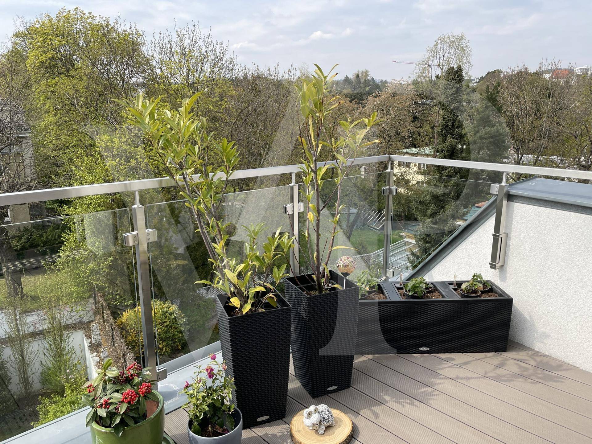 Helle Dachterrasse mit Pflanzen, Glasgeländer und weitem Blick ins Grüne.