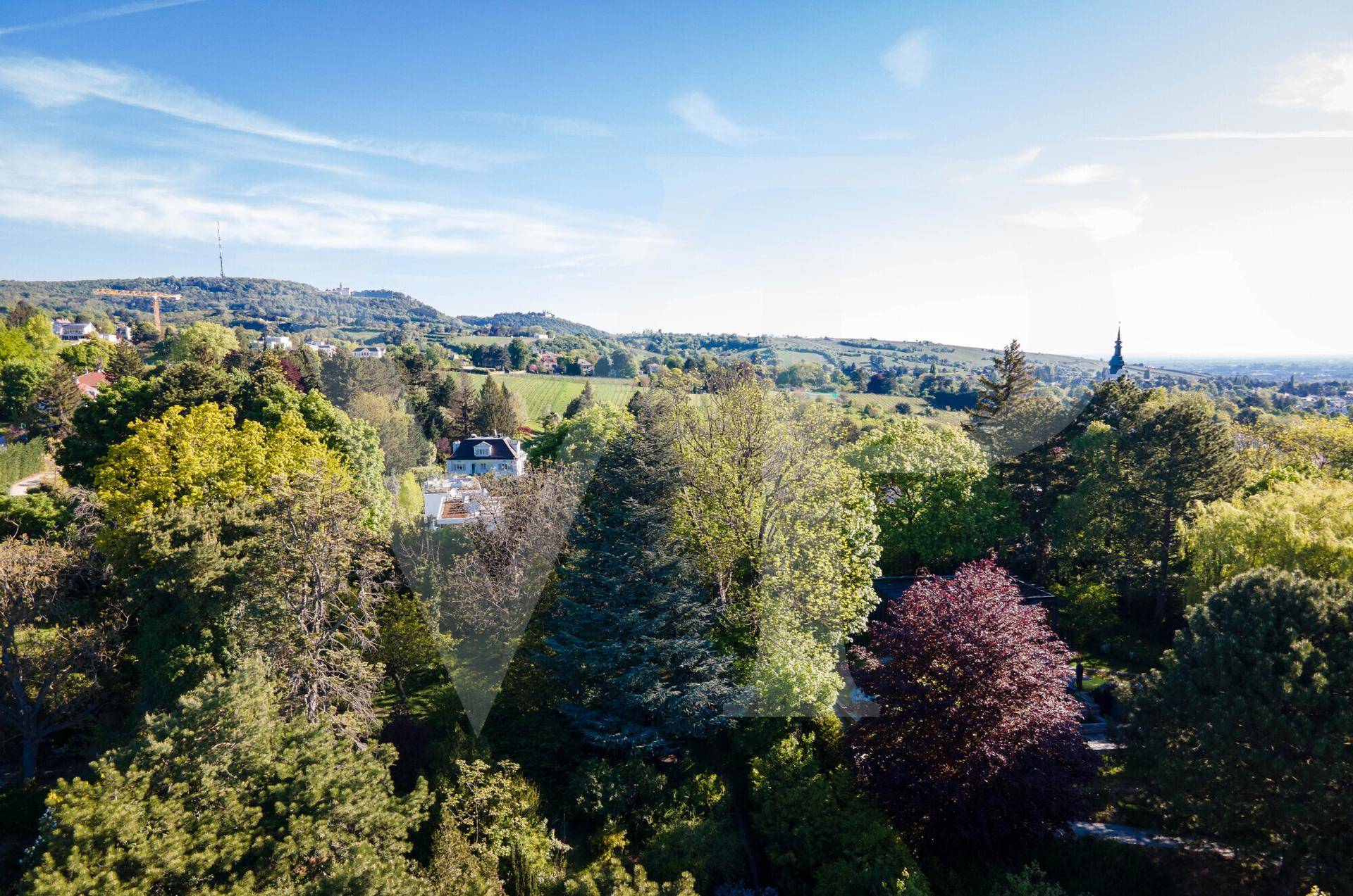 Panoramablick über eine bewaldete Landschaft mit einem eleganten Haus und weitem Horizont.