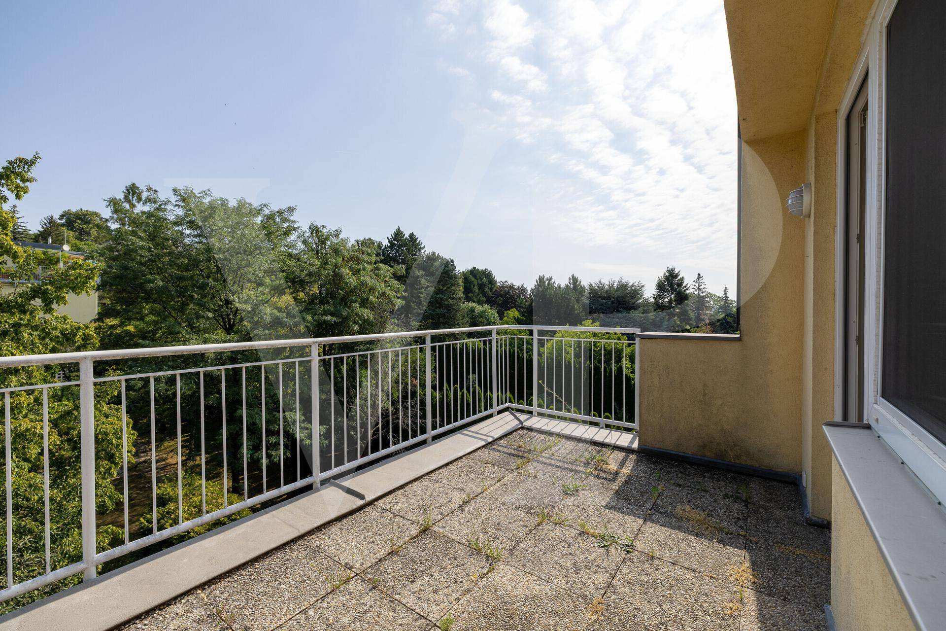 Geräumiger Balkon mit Blick auf die umliegende Natur und viel Potenzial zur Gestaltung.