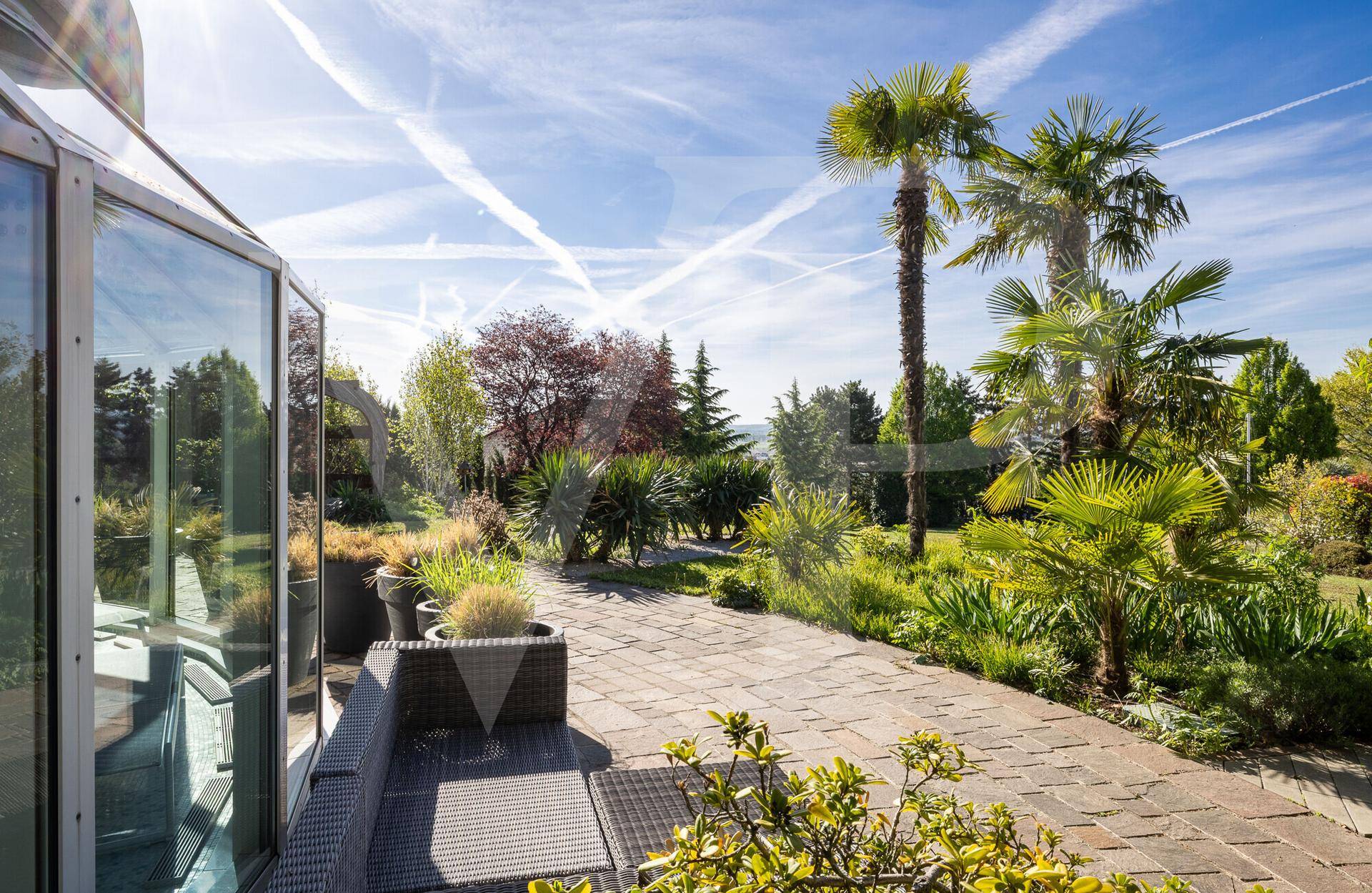 Sonniger Gartenbereich mit gepflastertem Weg, Palmen und einer gemütlichen Sitzgelegenheit.
