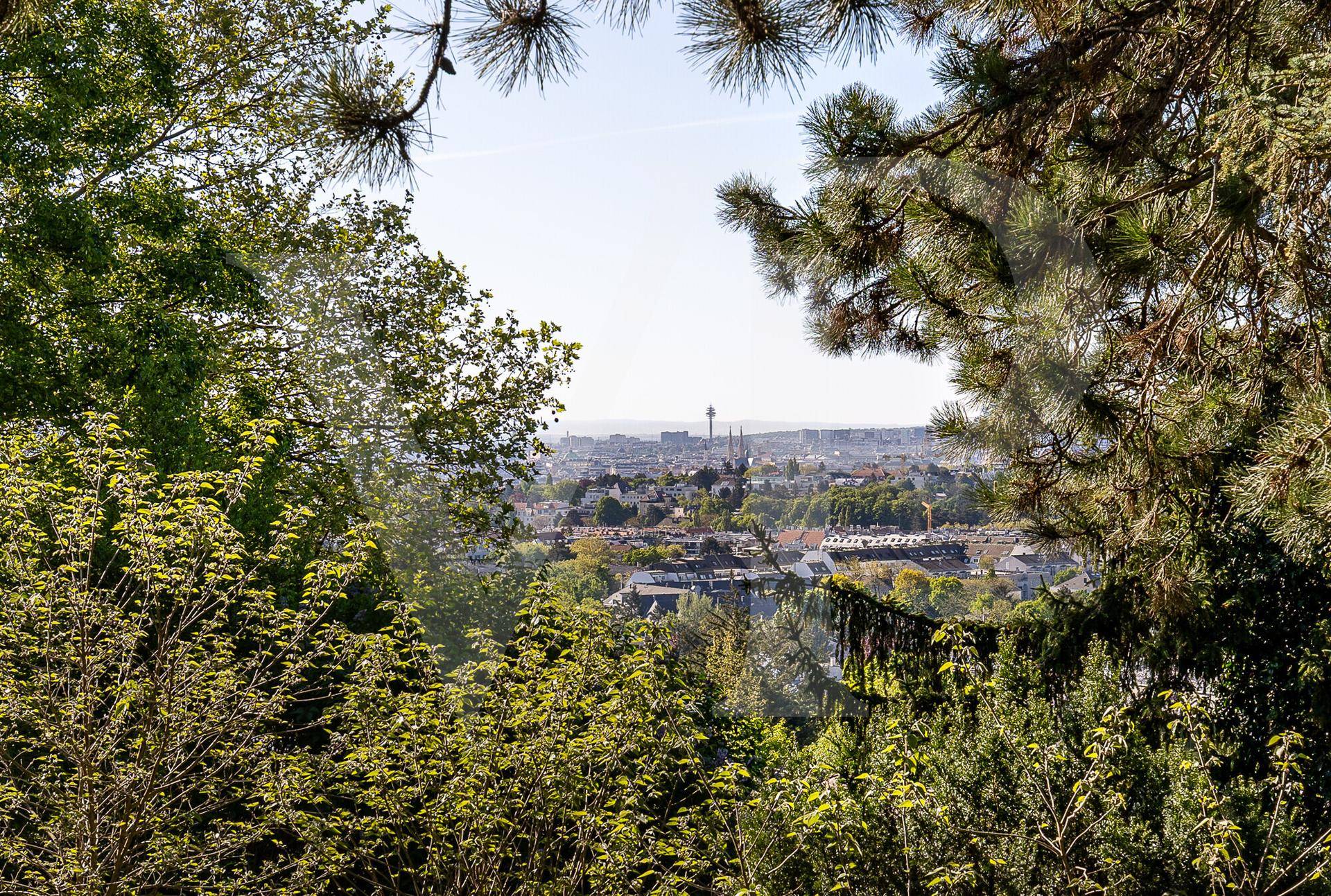 Weitblick über die Stadt durch die Baumwipfel, mit einem Fernsehturm am Horizont.
