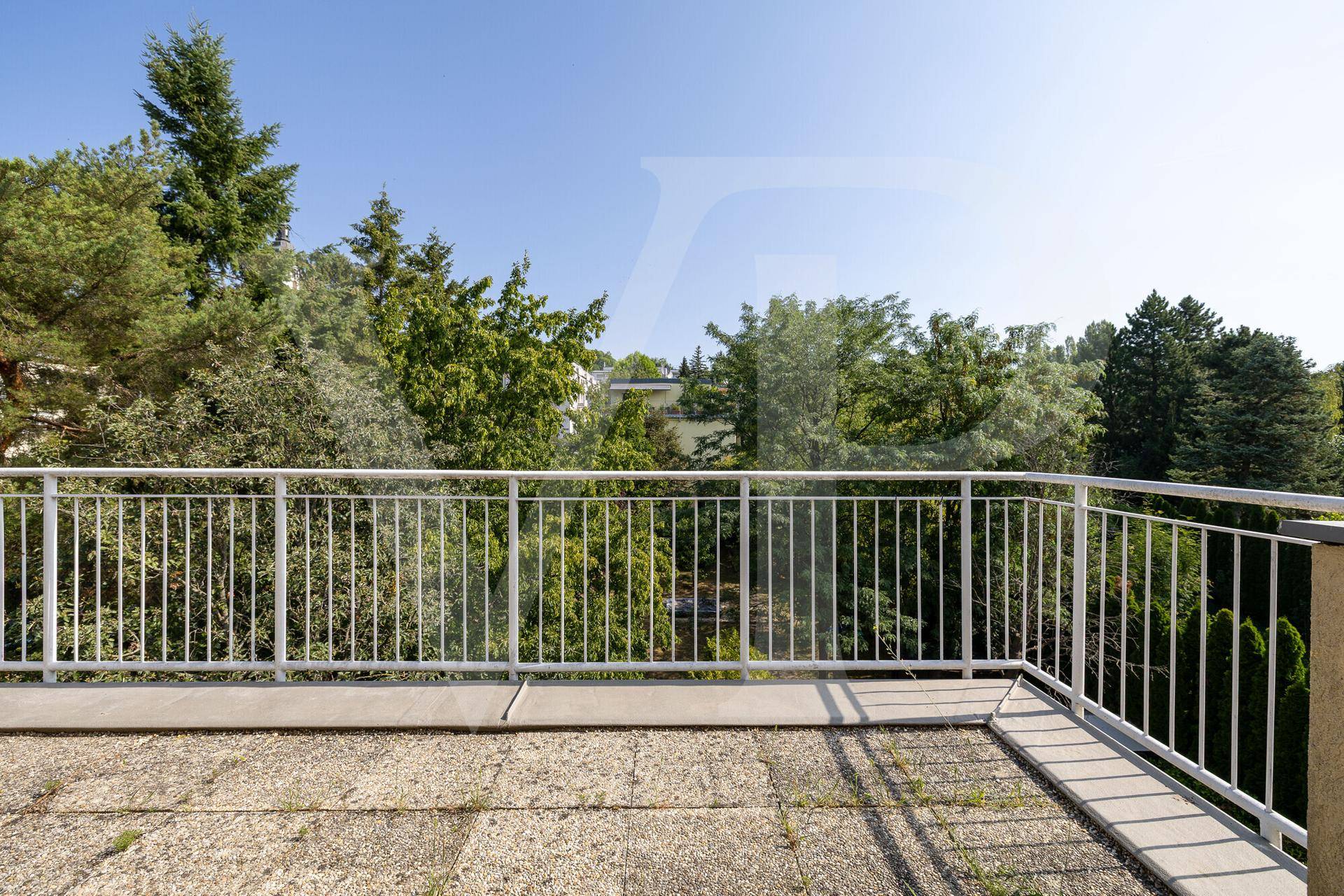 Leerer Balkon mit weißem Geländer und weitem Blick ins Grüne, umgeben von Bäumen.