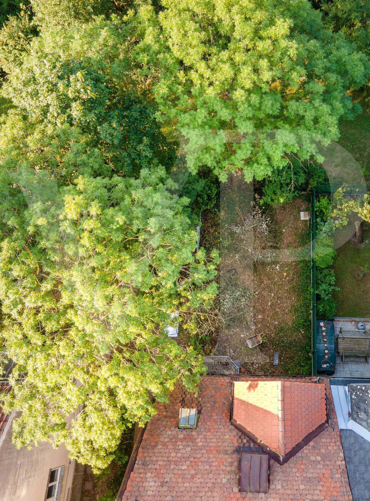 Luftaufnahme des Gebäudes mit Dach und umliegenden grünen Bäumen und Gartenbereichen.