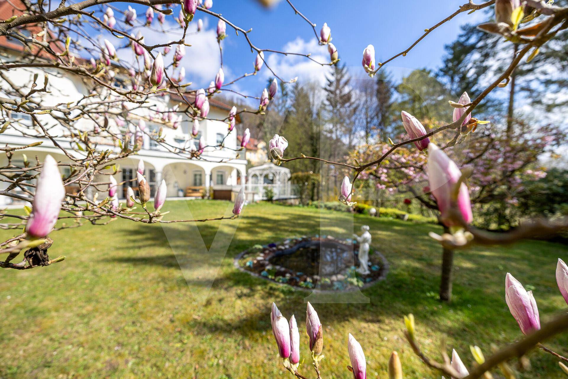 Villa im Frühling mit blühenden Magnolien im Vordergrund und einem Teich im Garten.