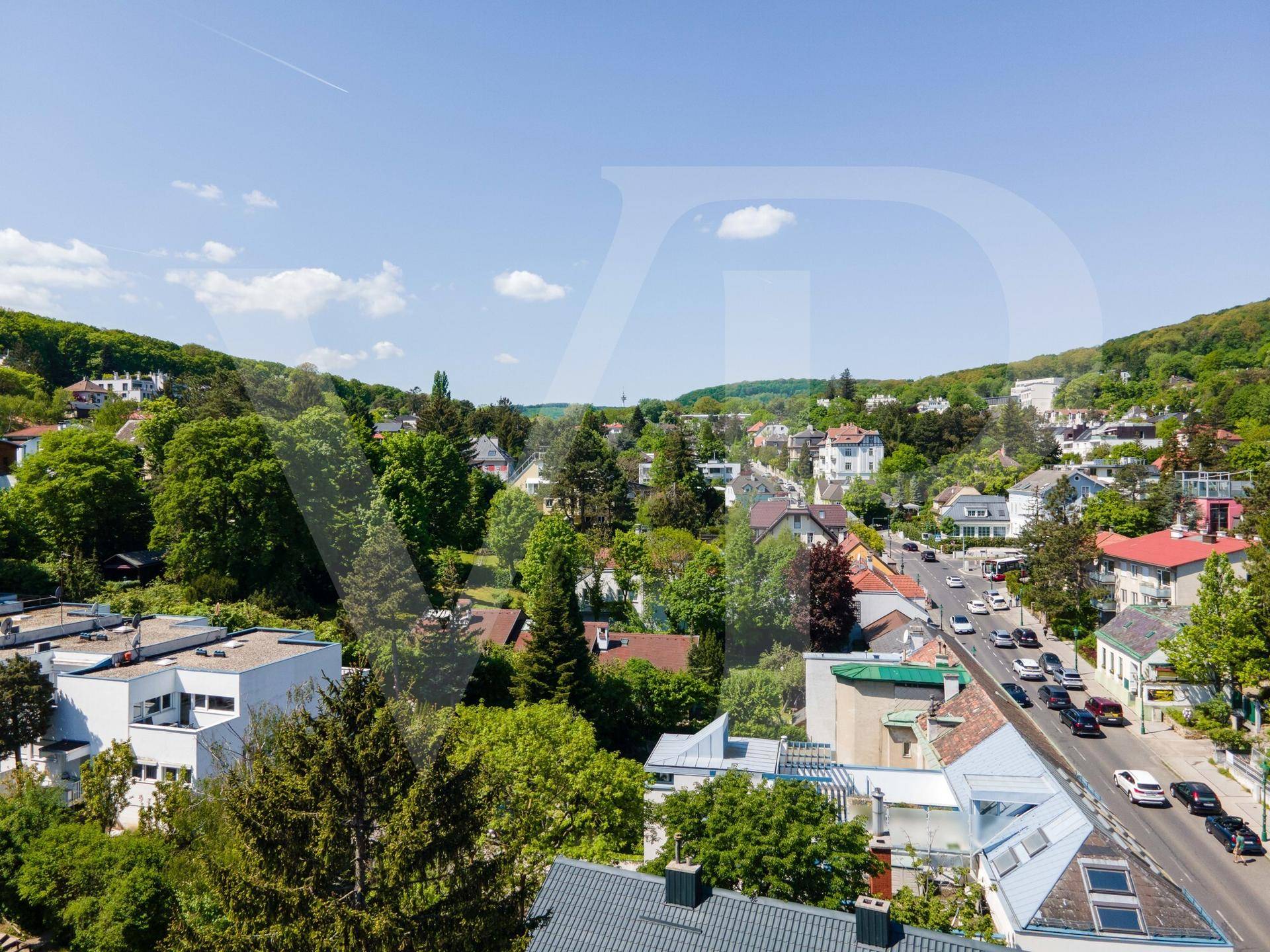 DJI_0821