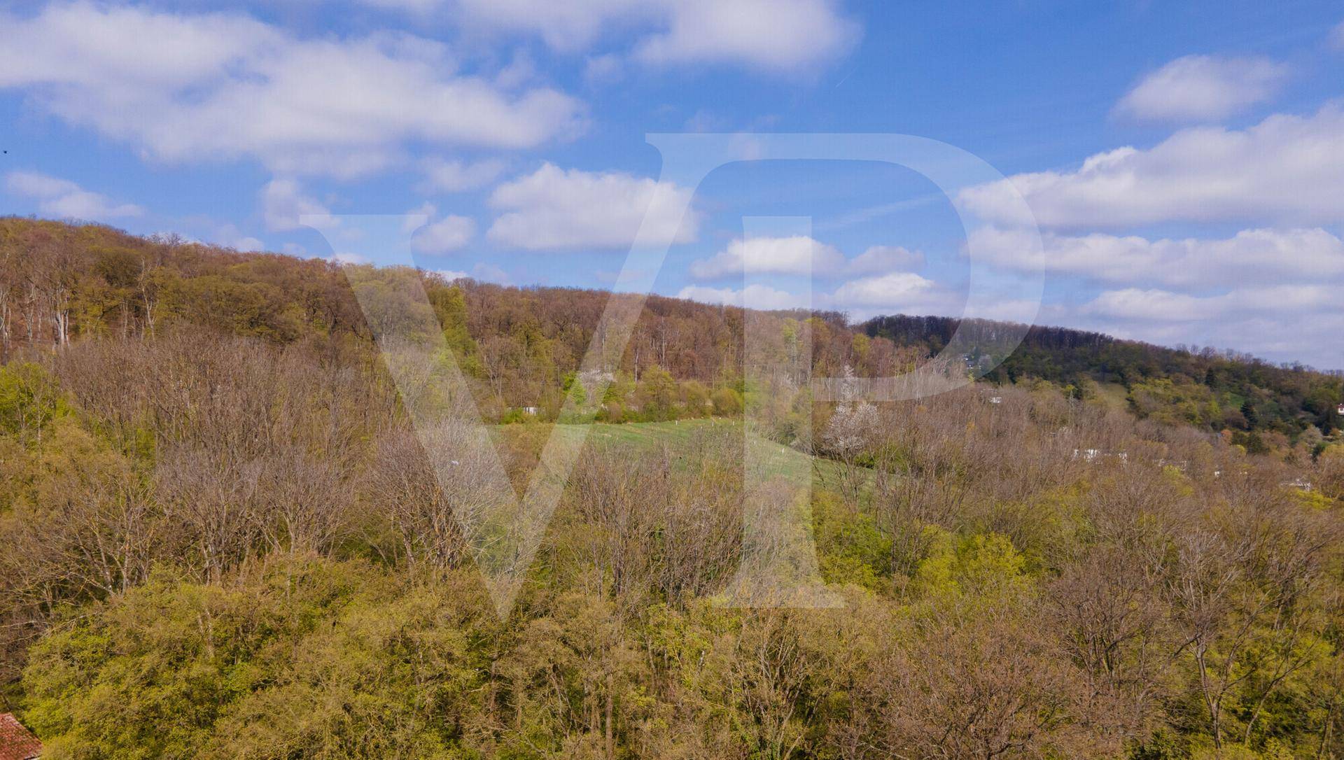 Panoramablick auf die bewaldeten Hügel und die weite Naturlandschaft.