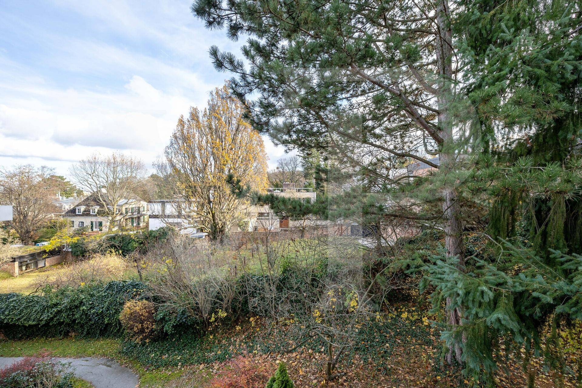 Weitläufiger Blick über eine ruhige Wohngegend mit viel Grün und herbstlichen Bäumen.