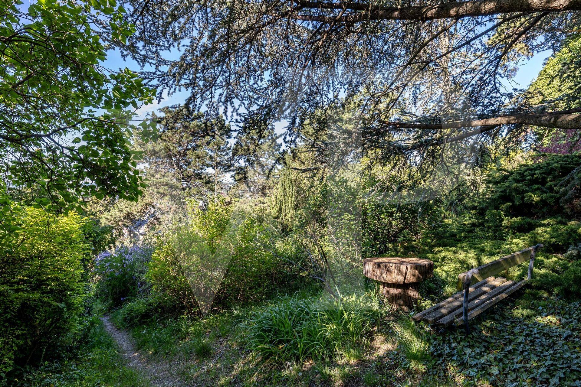 Idyllischer Gartenweg mit einer Holzbank und einem Baumstumpf, umgeben von dichtem Grün.