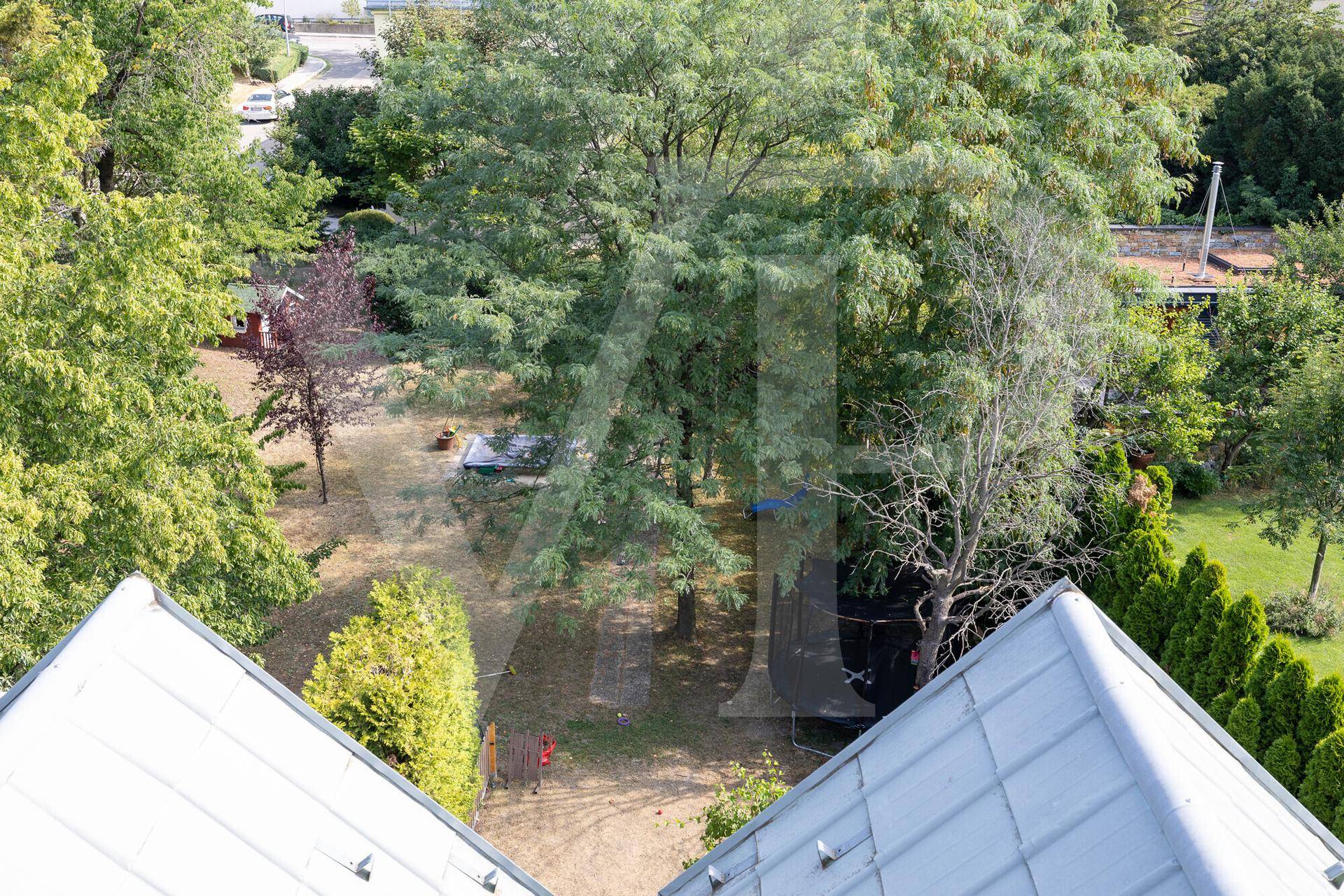 Blick von oben auf einen weitläufigen Garten mit großen Bäumen, Trampolin und einem kleinen Gartenhaus.