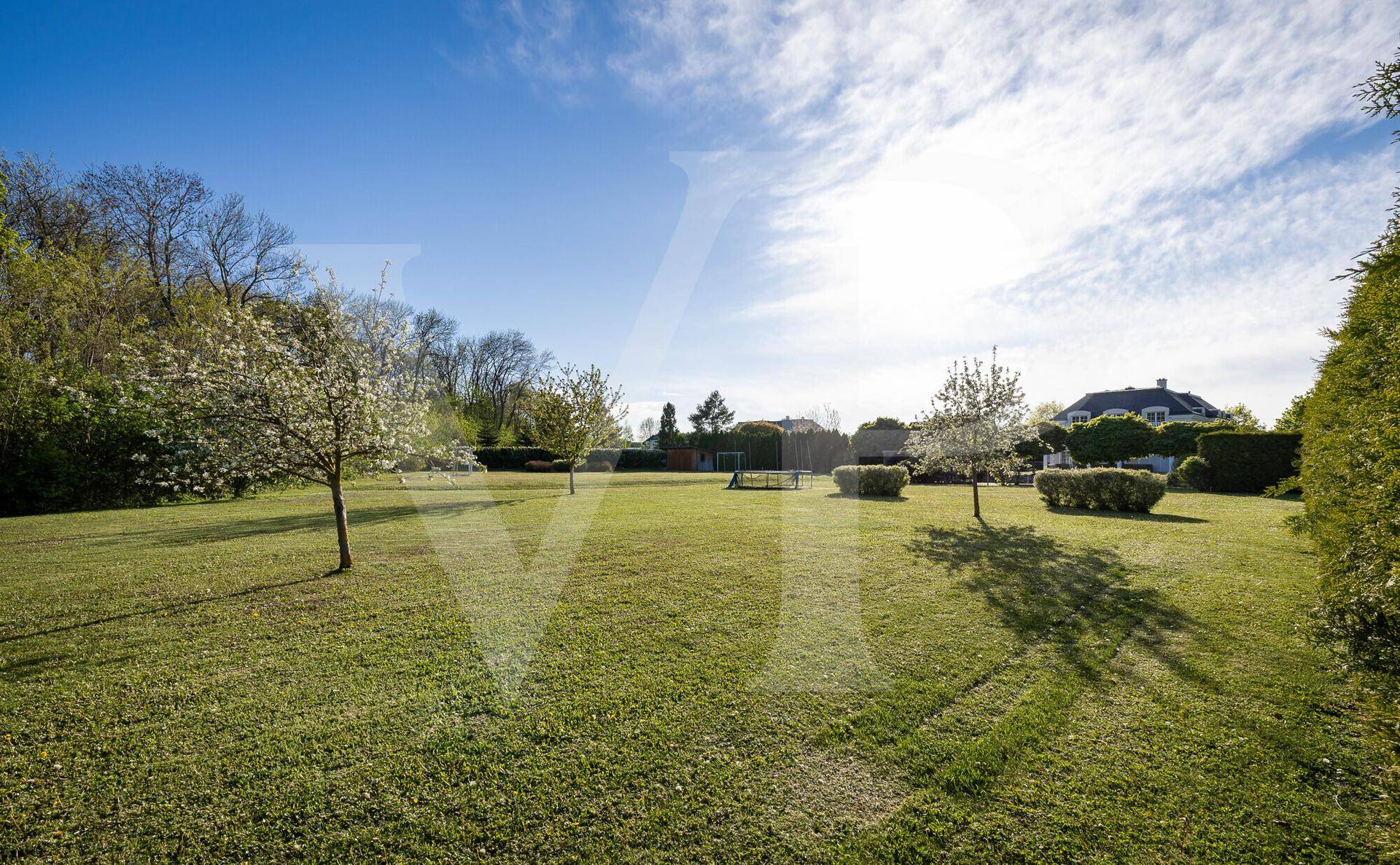 Weitläufiger, gepflegter Garten mit Rasenfläche und jungen Bäumen unter blauem Himmel.