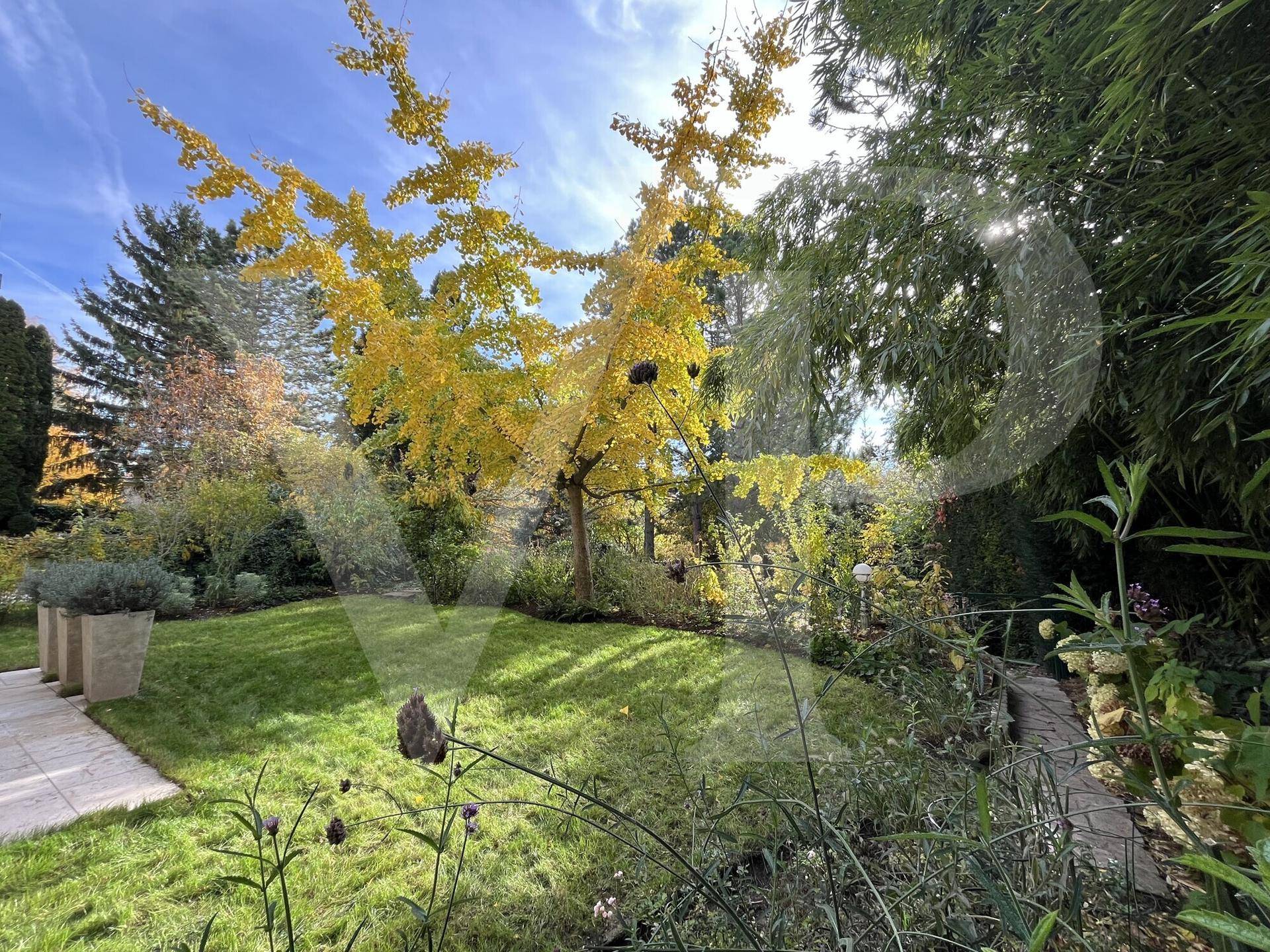 Sonnige Gartenansicht mit Herbstlaub an Bäumen, Rasenfläche und üppiger Bepflanzung.
