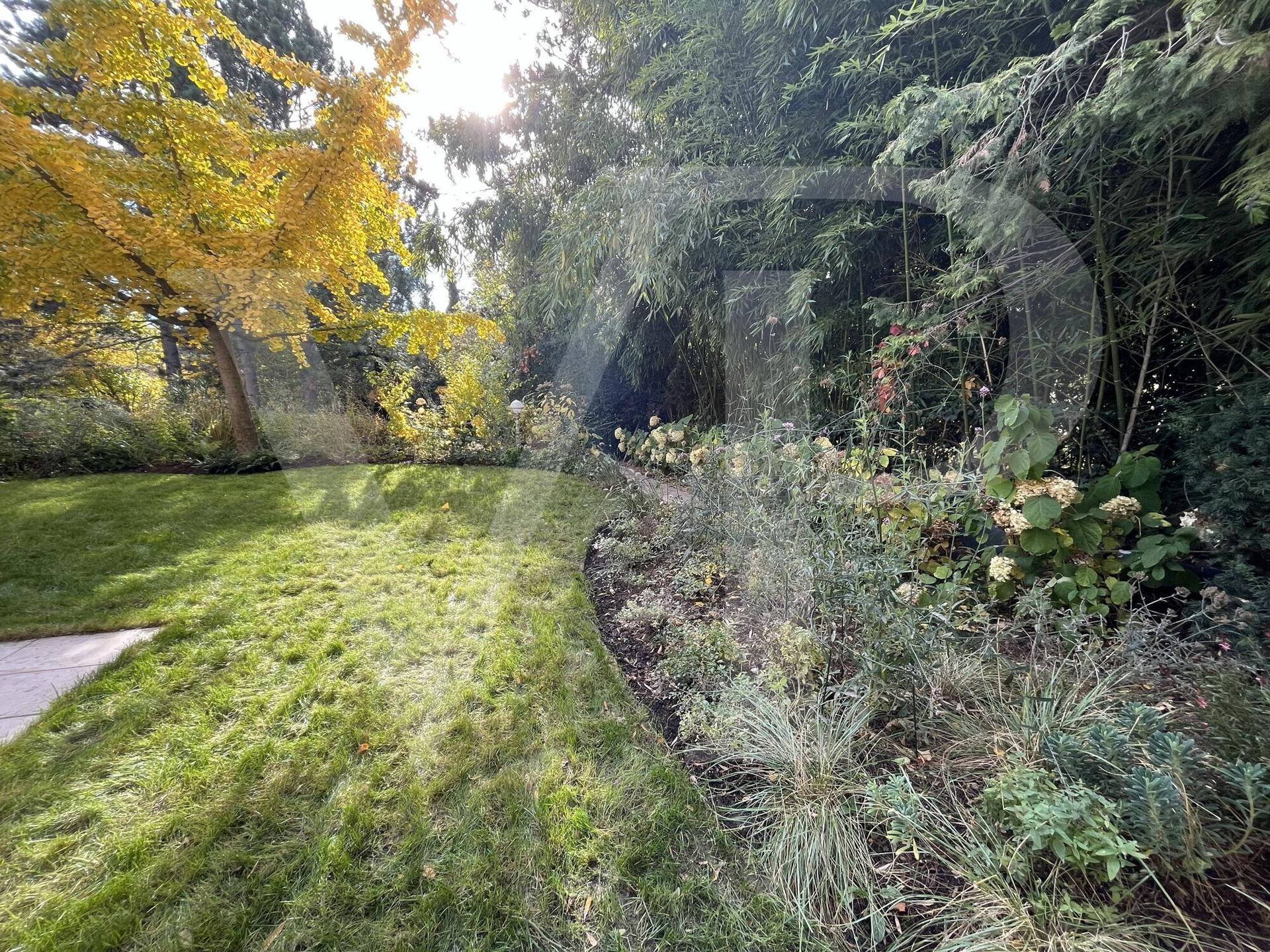 Gepflegter Rasenbereich im Garten, umgeben von vielfältiger Bepflanzung und hohen Bäumen.