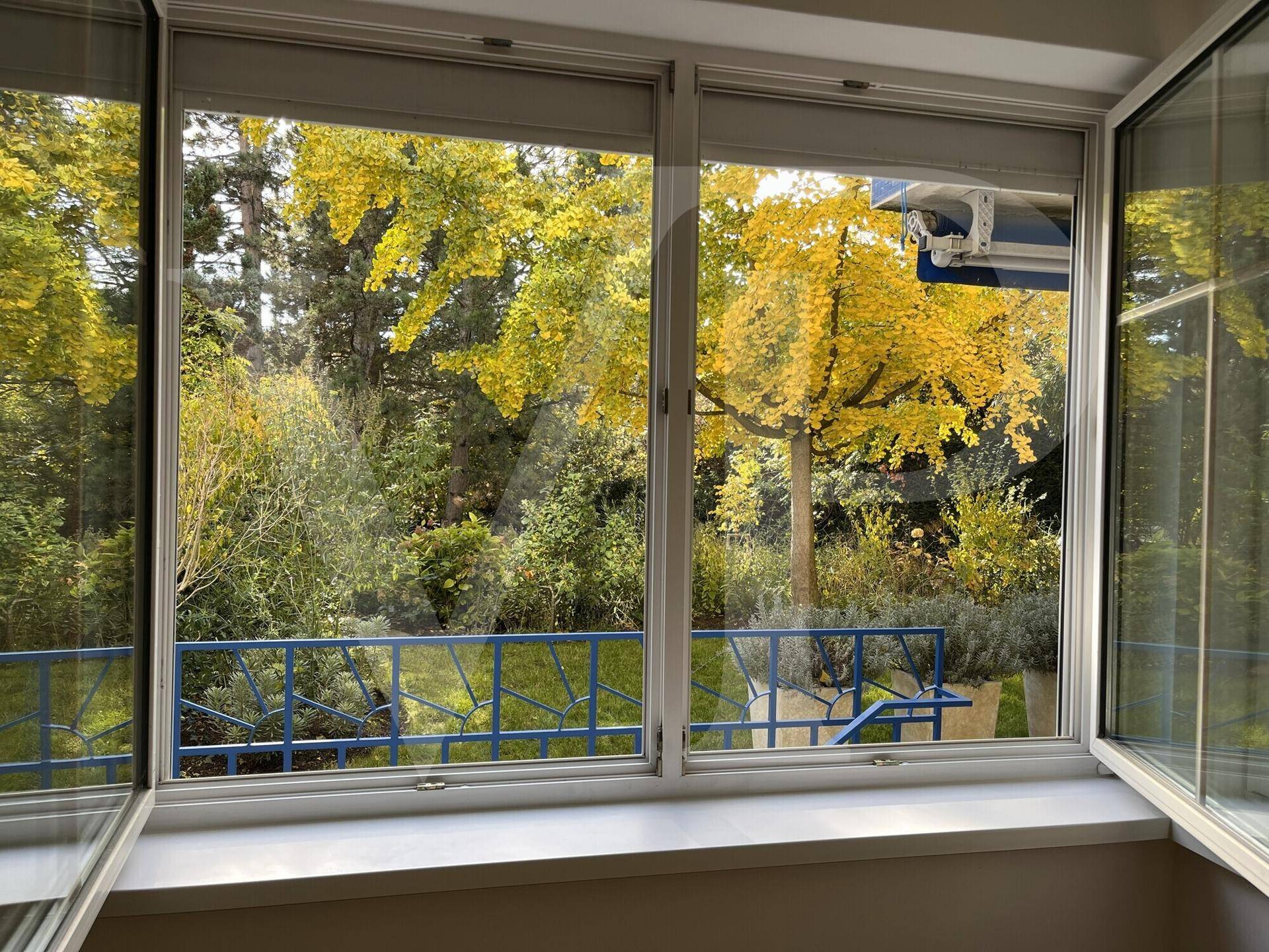 Fensterblick auf einen üppigen Garten mit herbstlichen Bäumen und blauer Balkonbrüstung.