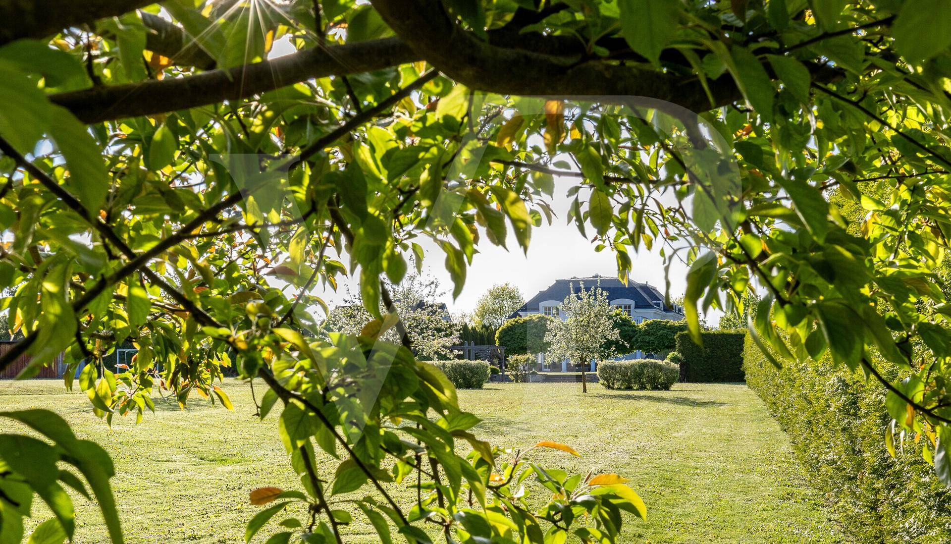 Idyllischer Gartenbereich mit altem Baumbestand und Blick auf die elegante Villa.