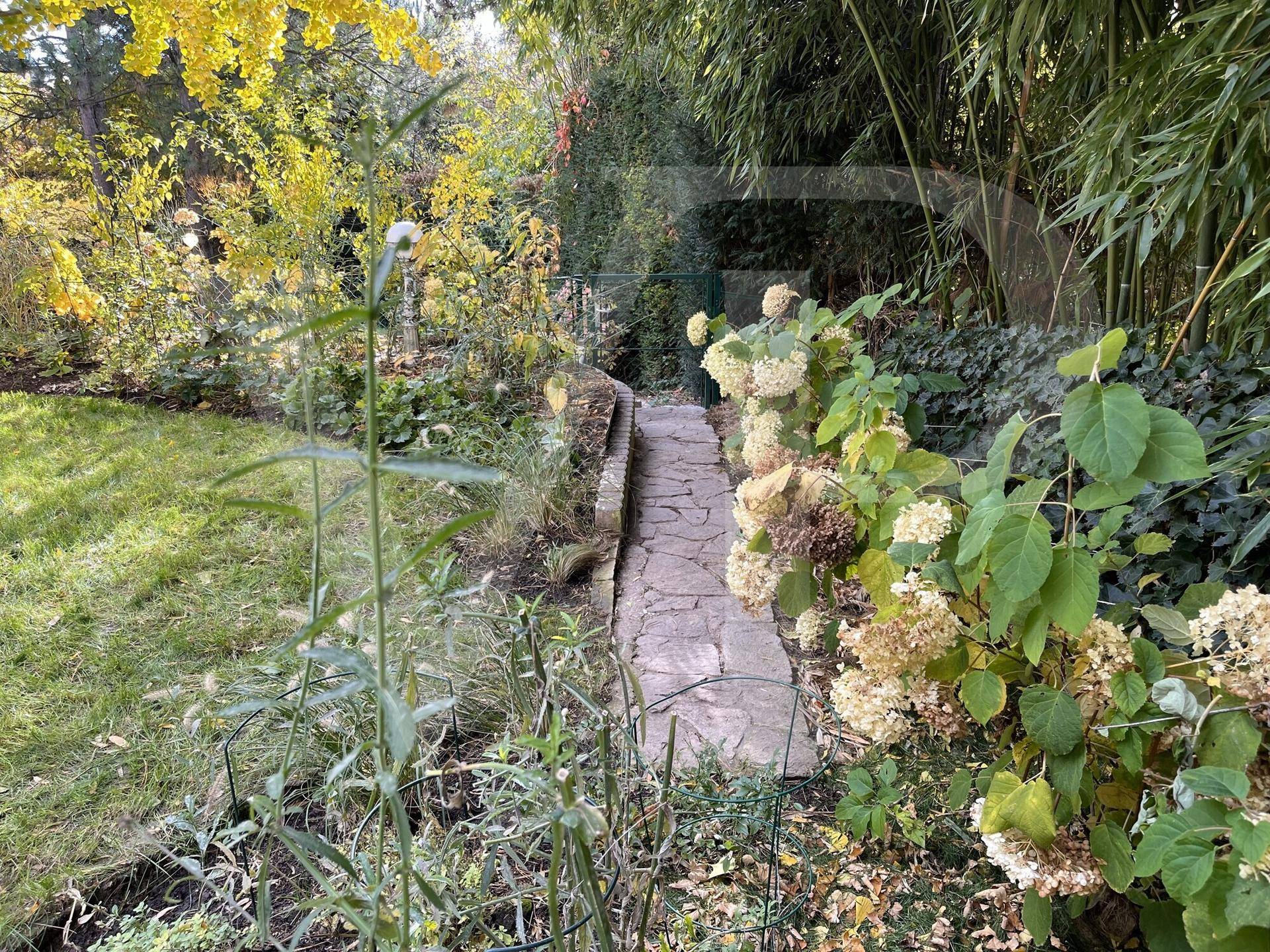 Verwunschener Gartenweg aus Steinplatten, umgeben von dichter Vegetation und Bäumen.
