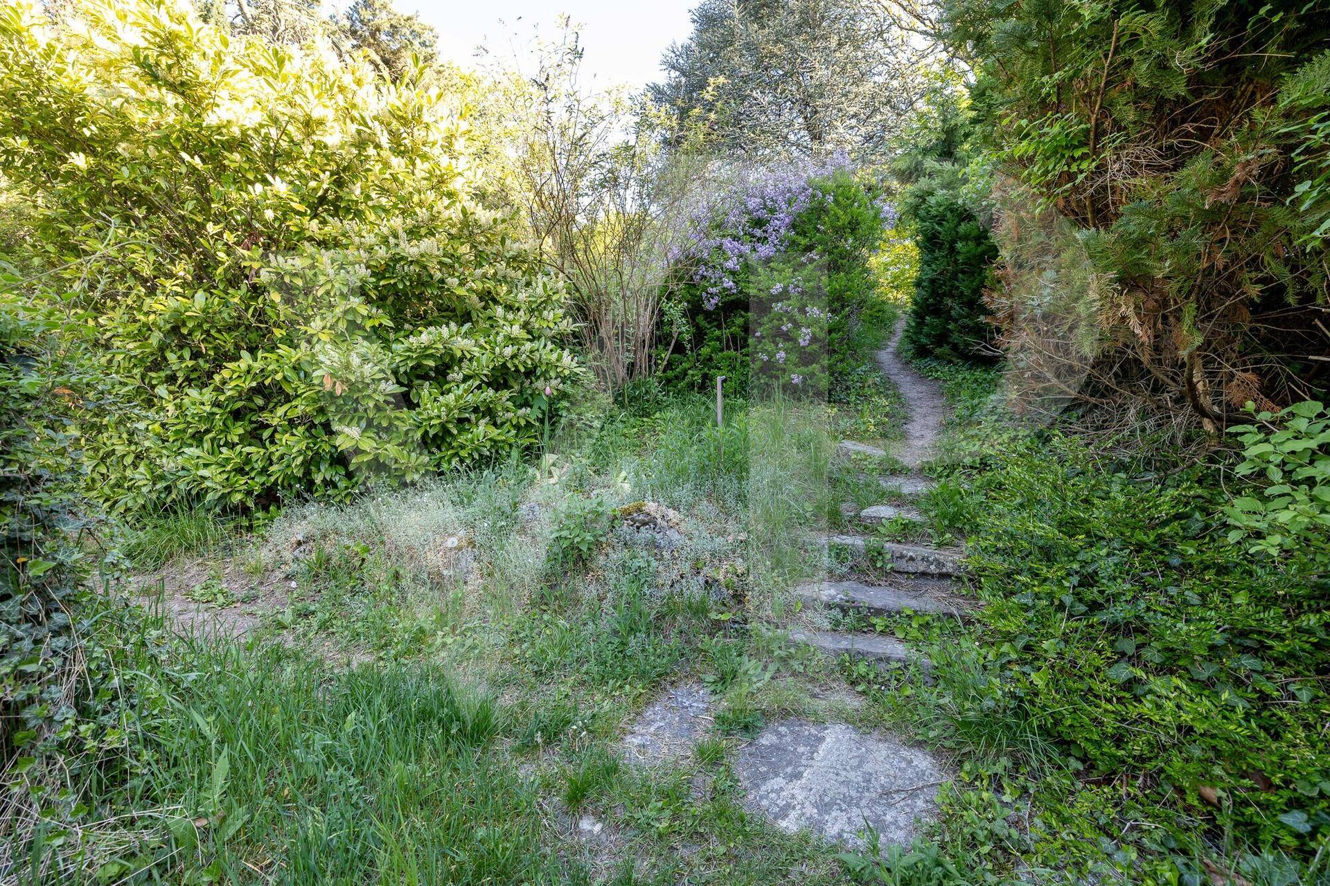 Verwunschener Gartenweg mit Steinstufen, umgeben von wilder Vegetation und blühenden Sträuchern.