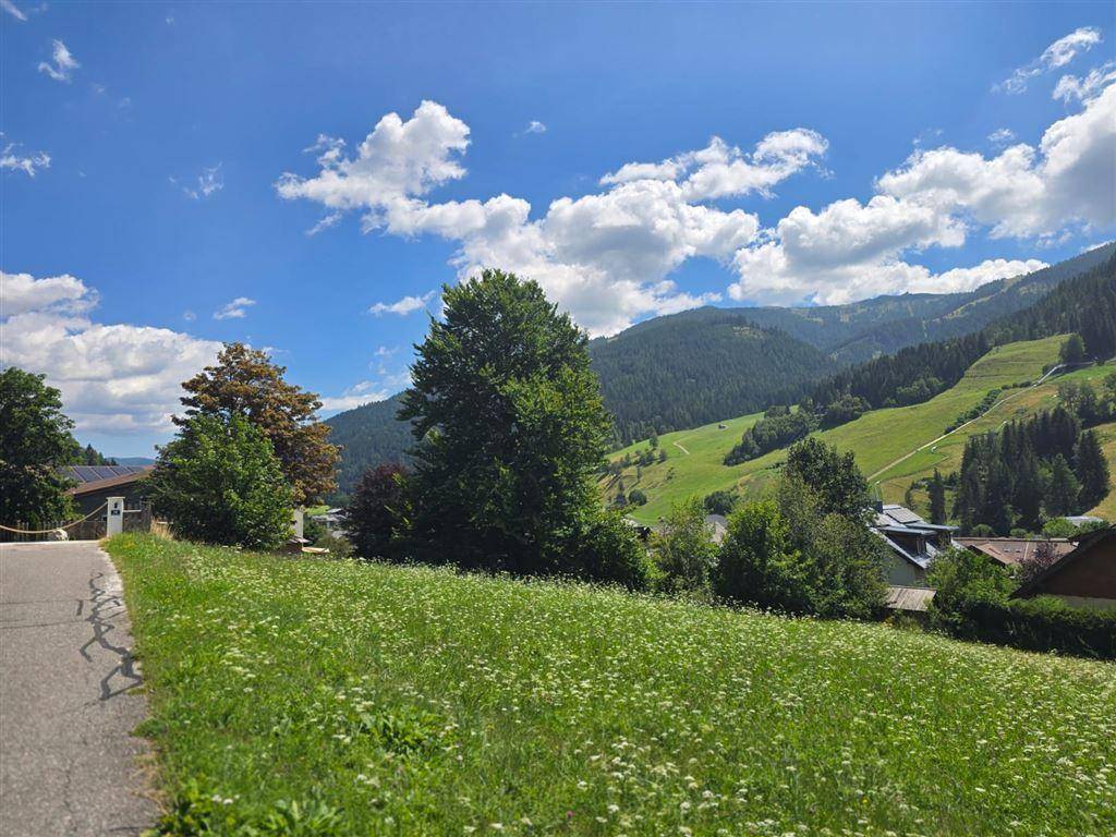 Eine ländliche Straße führt durch grüne Wiesen mit Bäumen und Bergen im Hintergrund unter blauem Himmel.