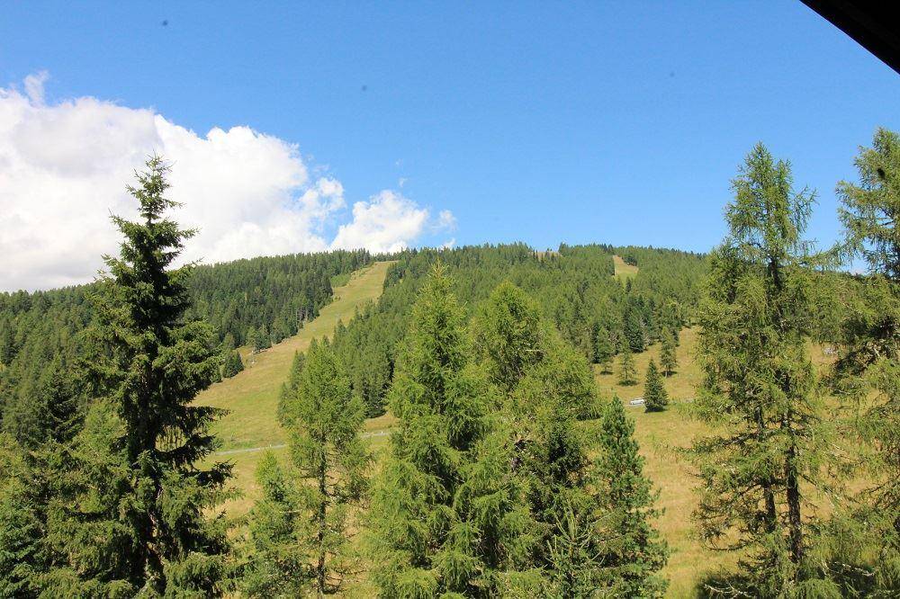 Ausblick auf angrenzende Skipiste