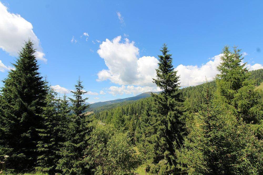 Ausblick Umgebung 03