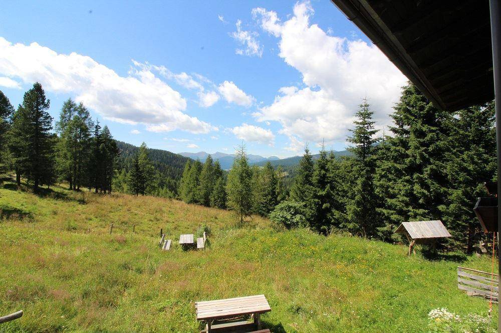 Ausblick von Terrasse in den Garten und Fernblick