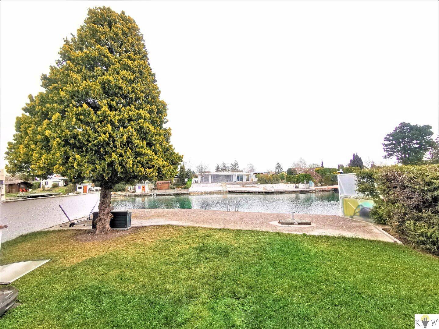 Großer Baum auf einer Rasenfläche mit direktem Zugang zum Kanal und Blick auf das Wasser.