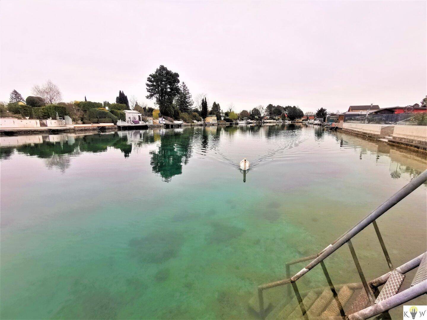 Ein Schwan schwimmt elegant auf dem klaren Wasser des Kanals, umgeben von Uferbebauung.