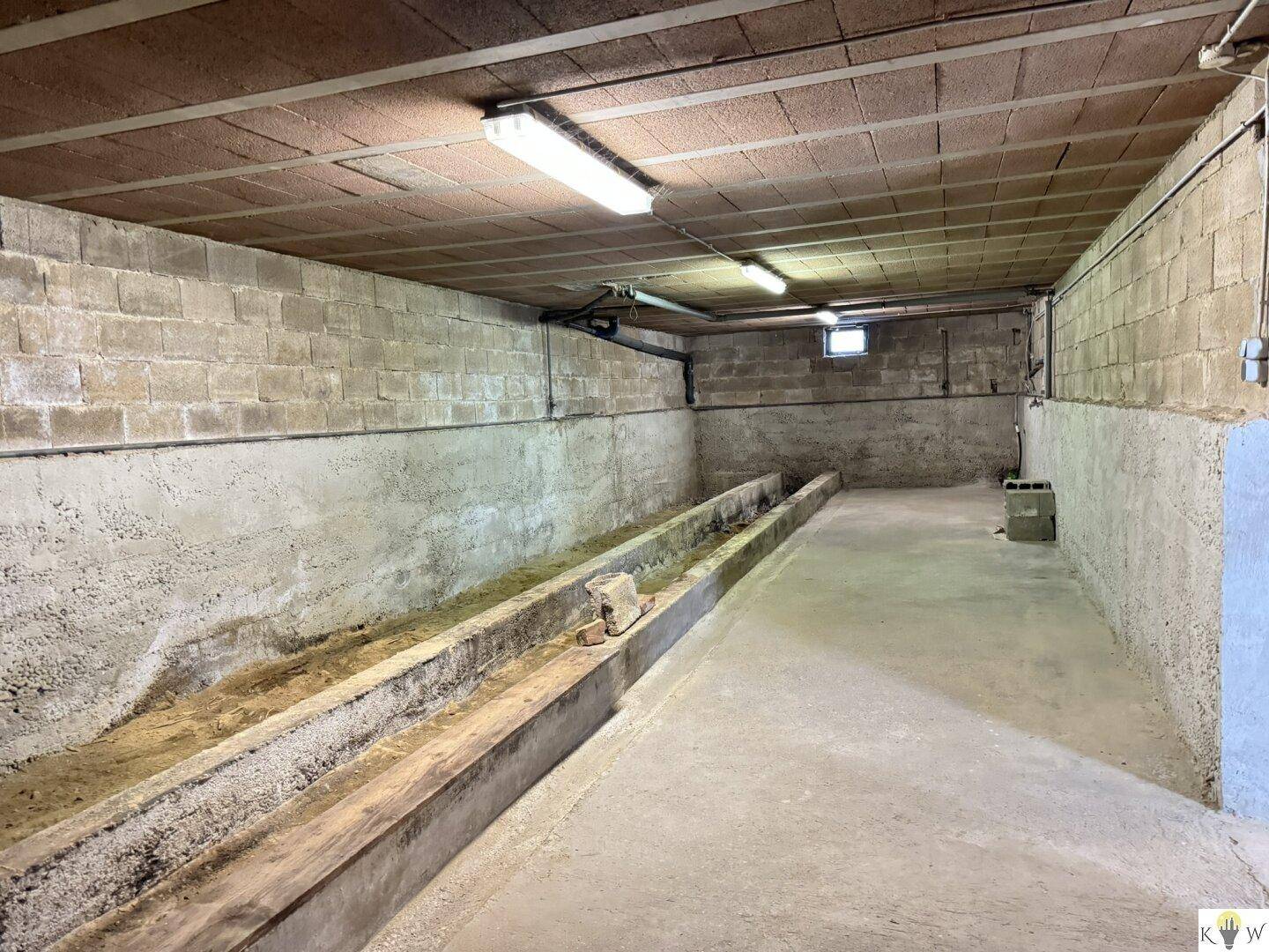 Großer Kellerraum mit Betonwänden und -boden, ideal als Lagerfläche.